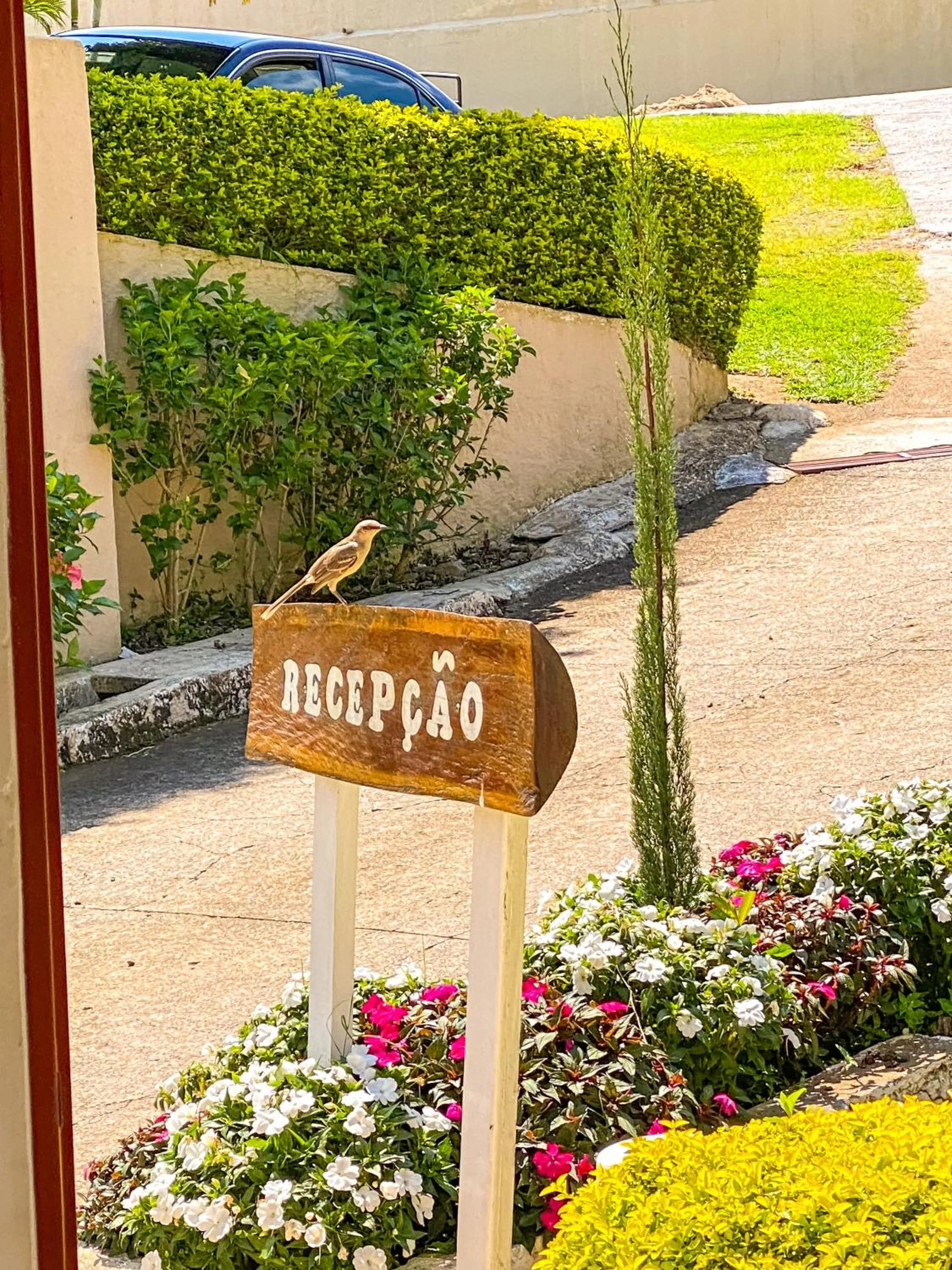 Natural landscape in Pousada Flores do Campo