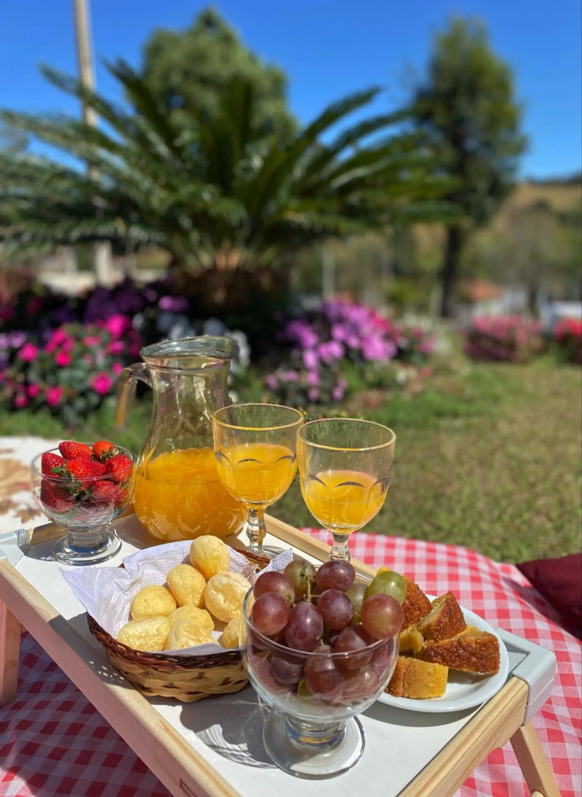 Food and drinks in Pousada Flores do Campo