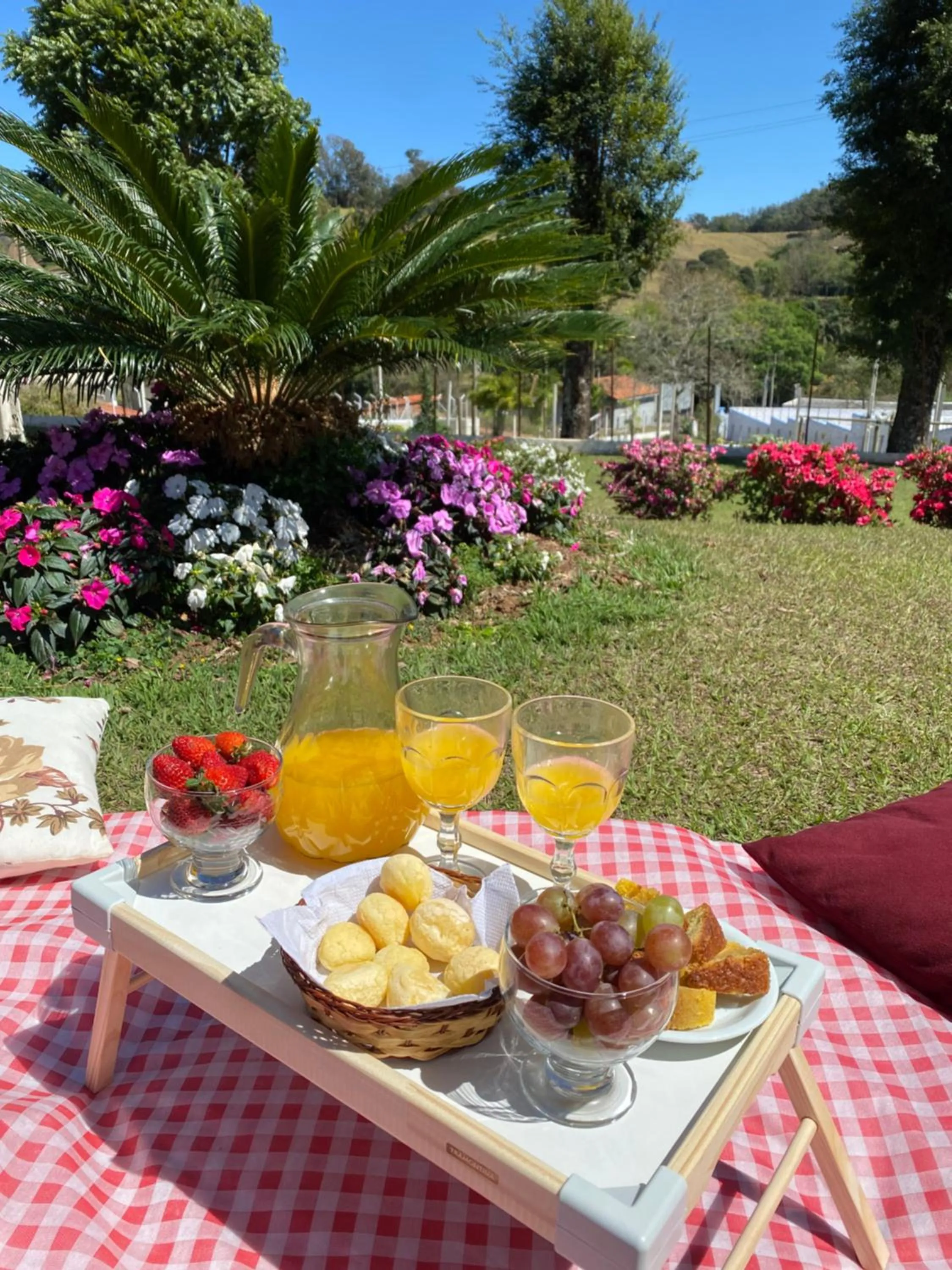Natural landscape in Pousada Flores do Campo