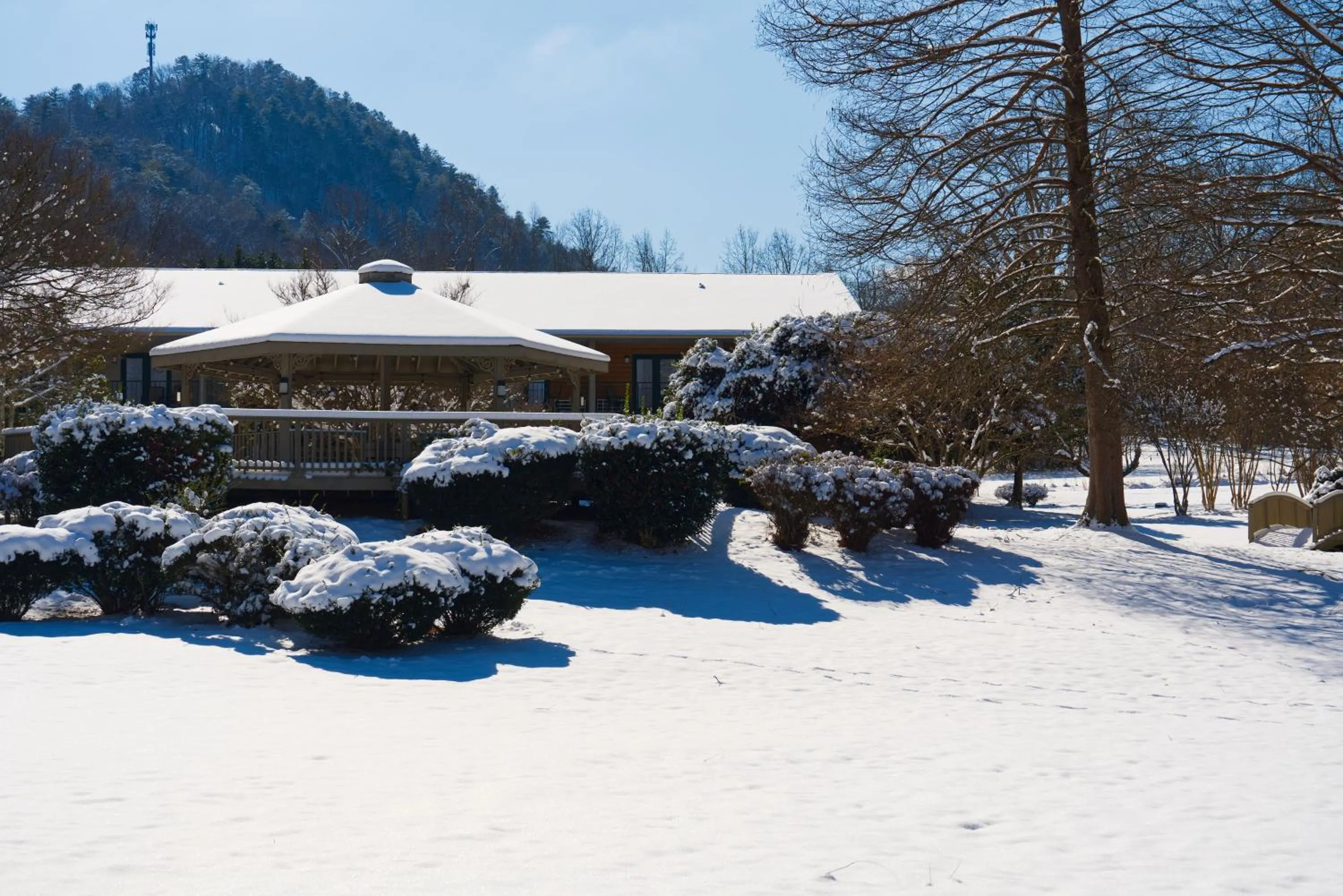 View (from property/room) in Tremont Lodge & Resort