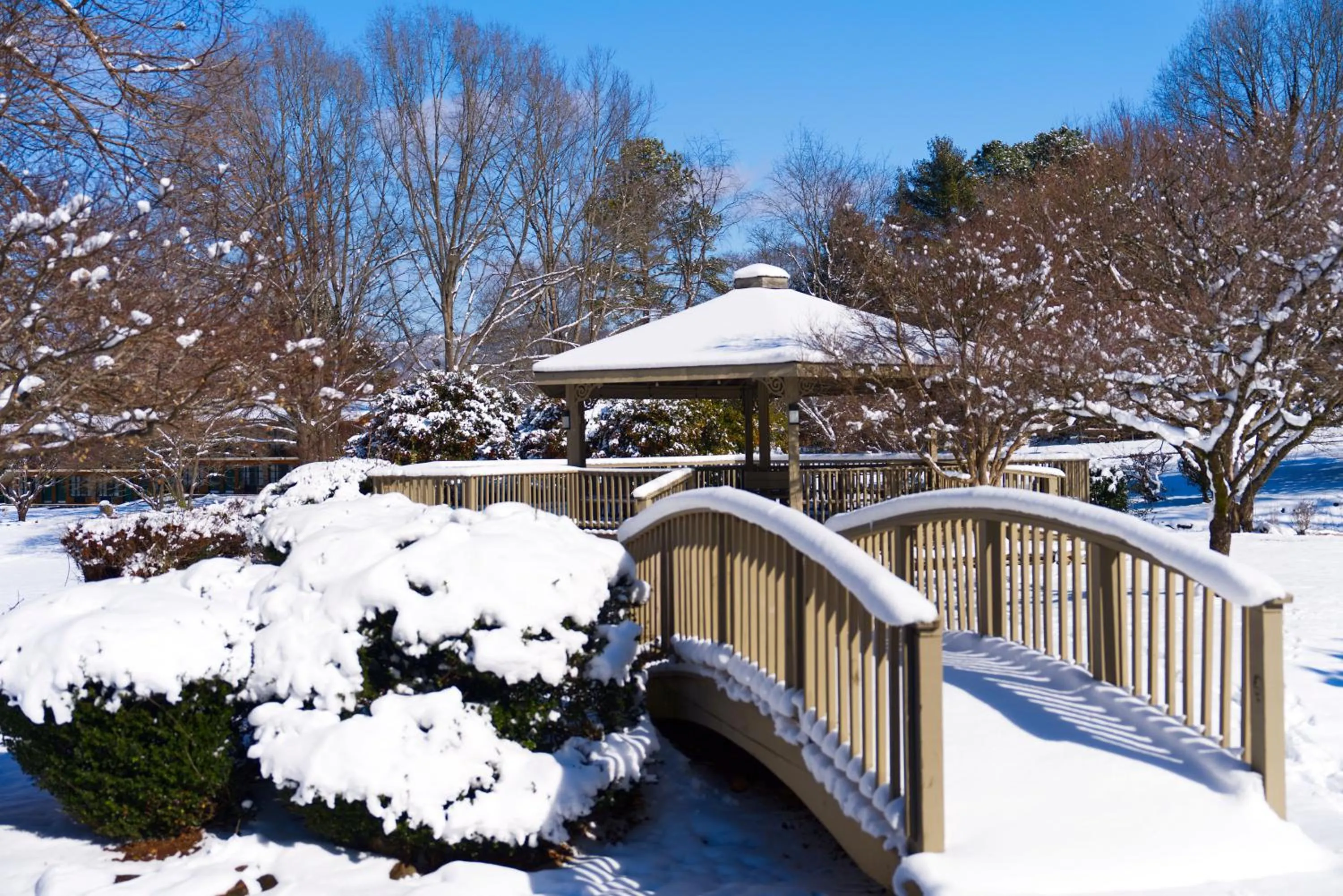 Property building in Tremont Lodge & Resort