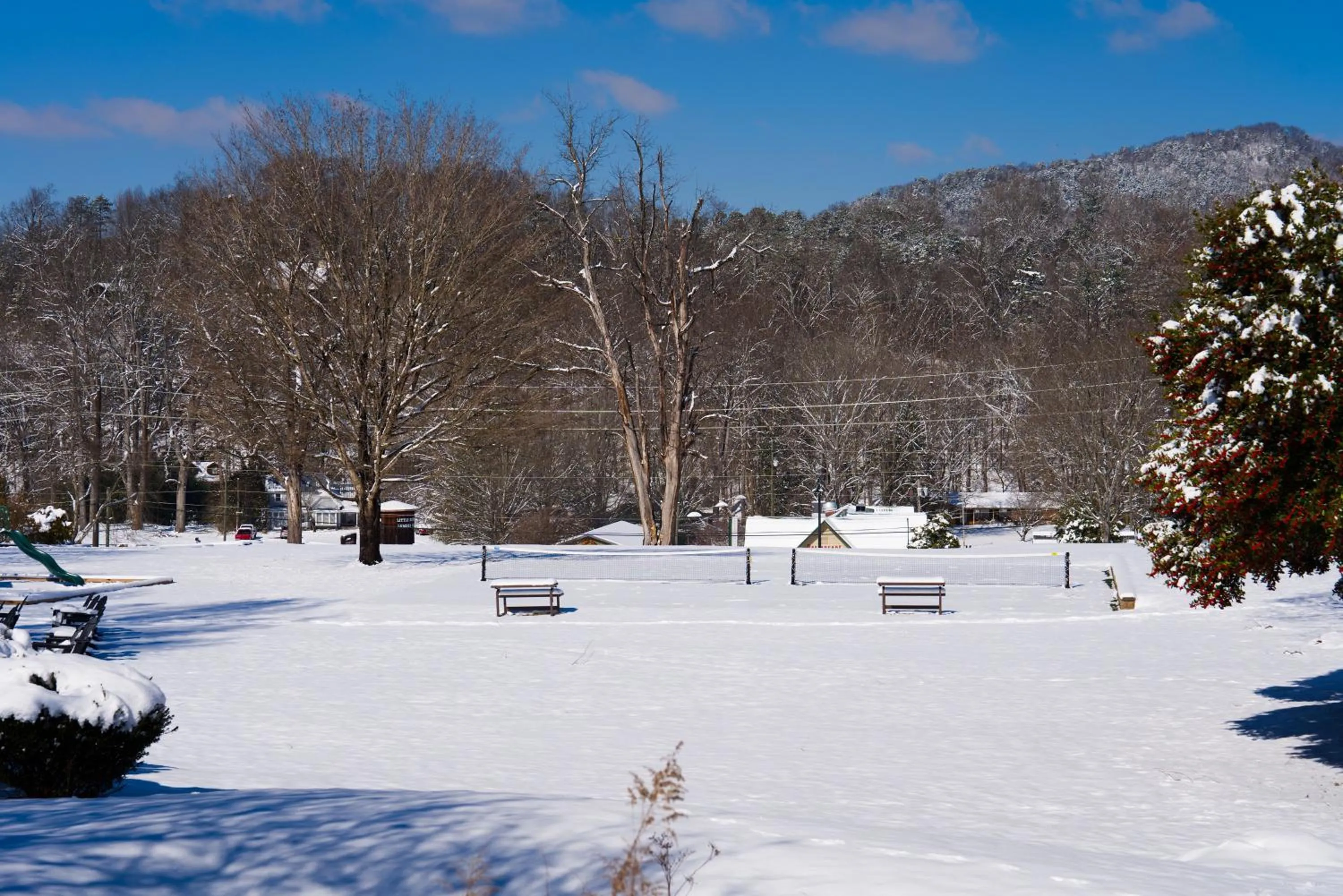 View (from property/room) in Tremont Lodge & Resort