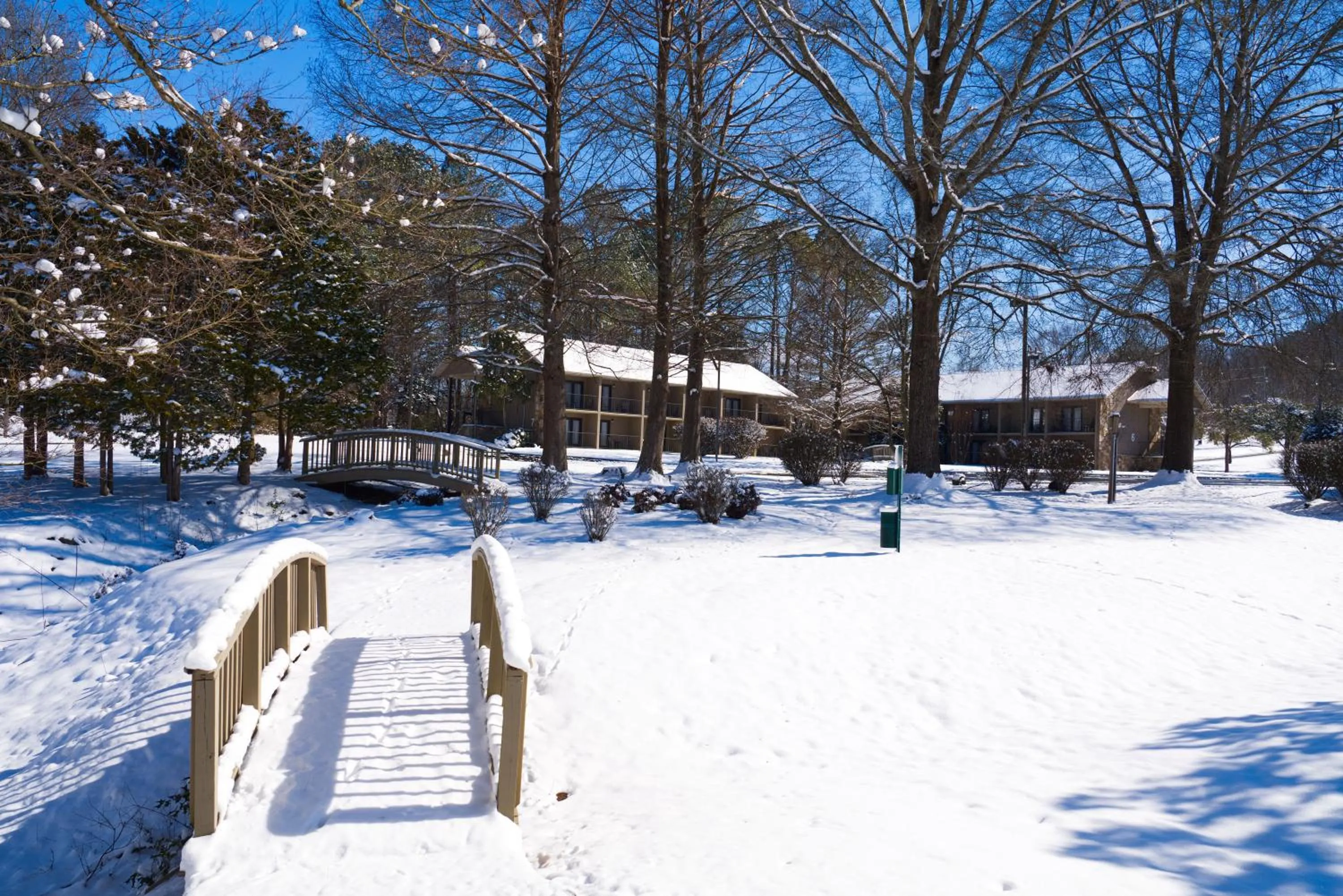 Property building in Tremont Lodge & Resort