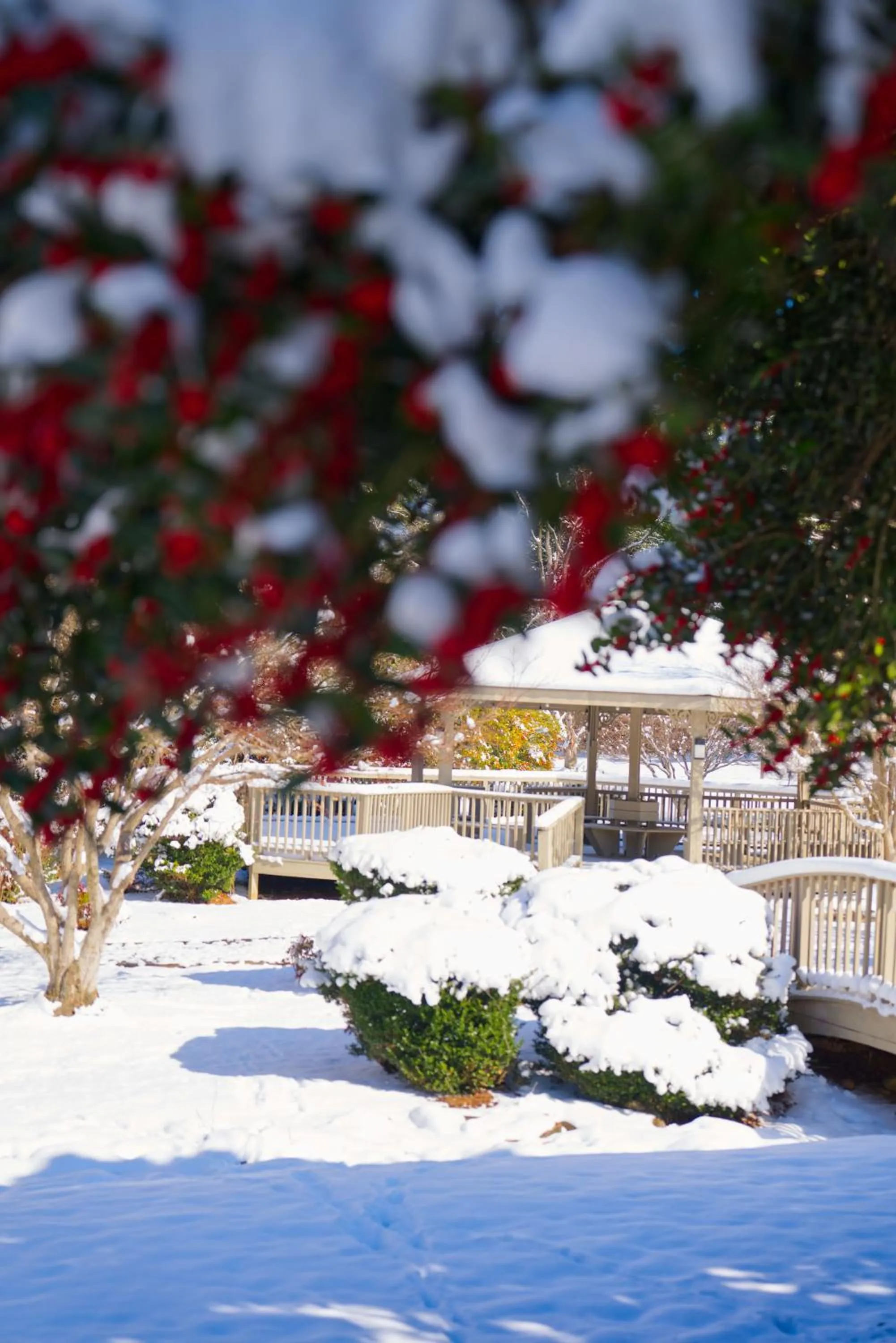 Property building in Tremont Lodge & Resort