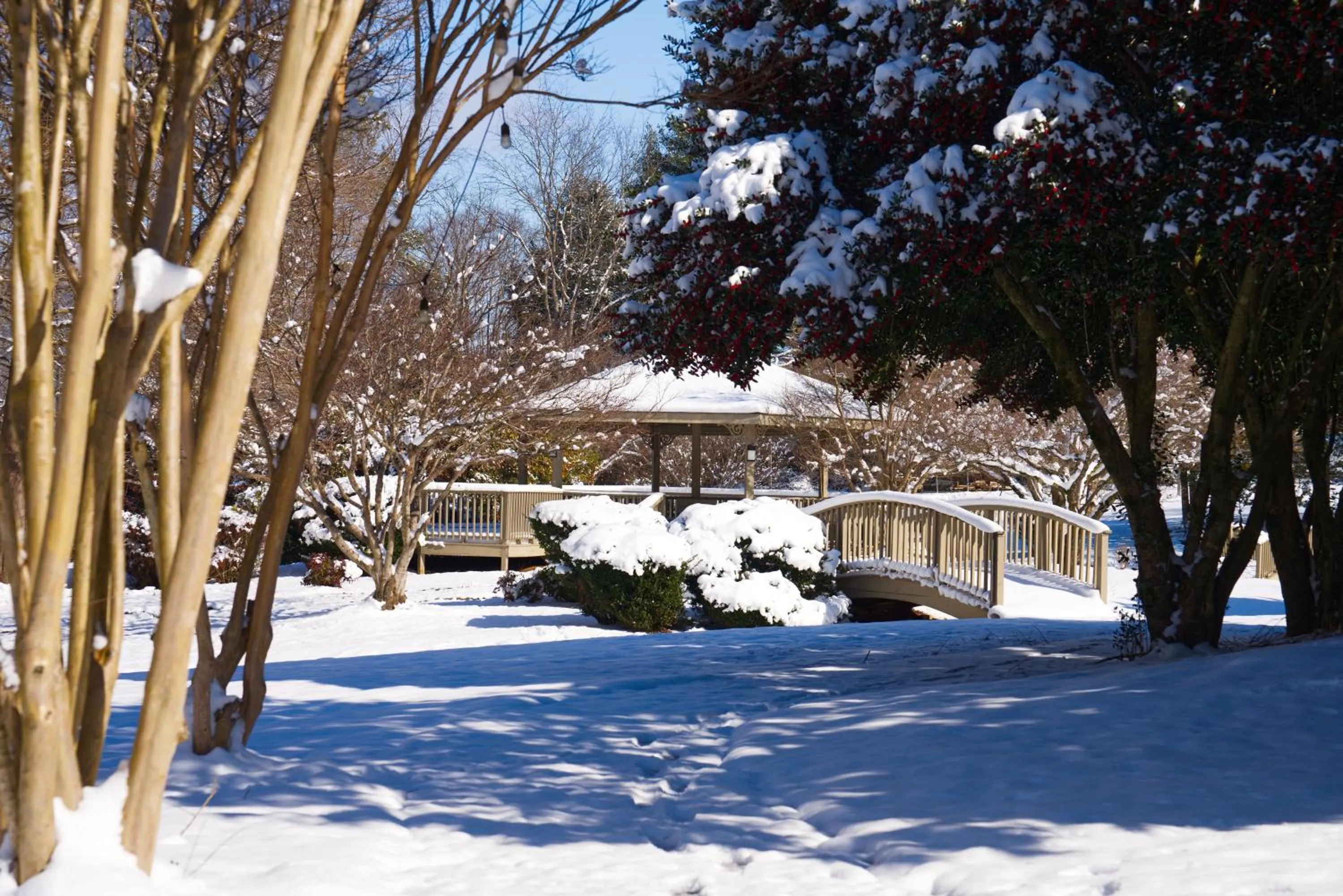 Property building in Tremont Lodge & Resort