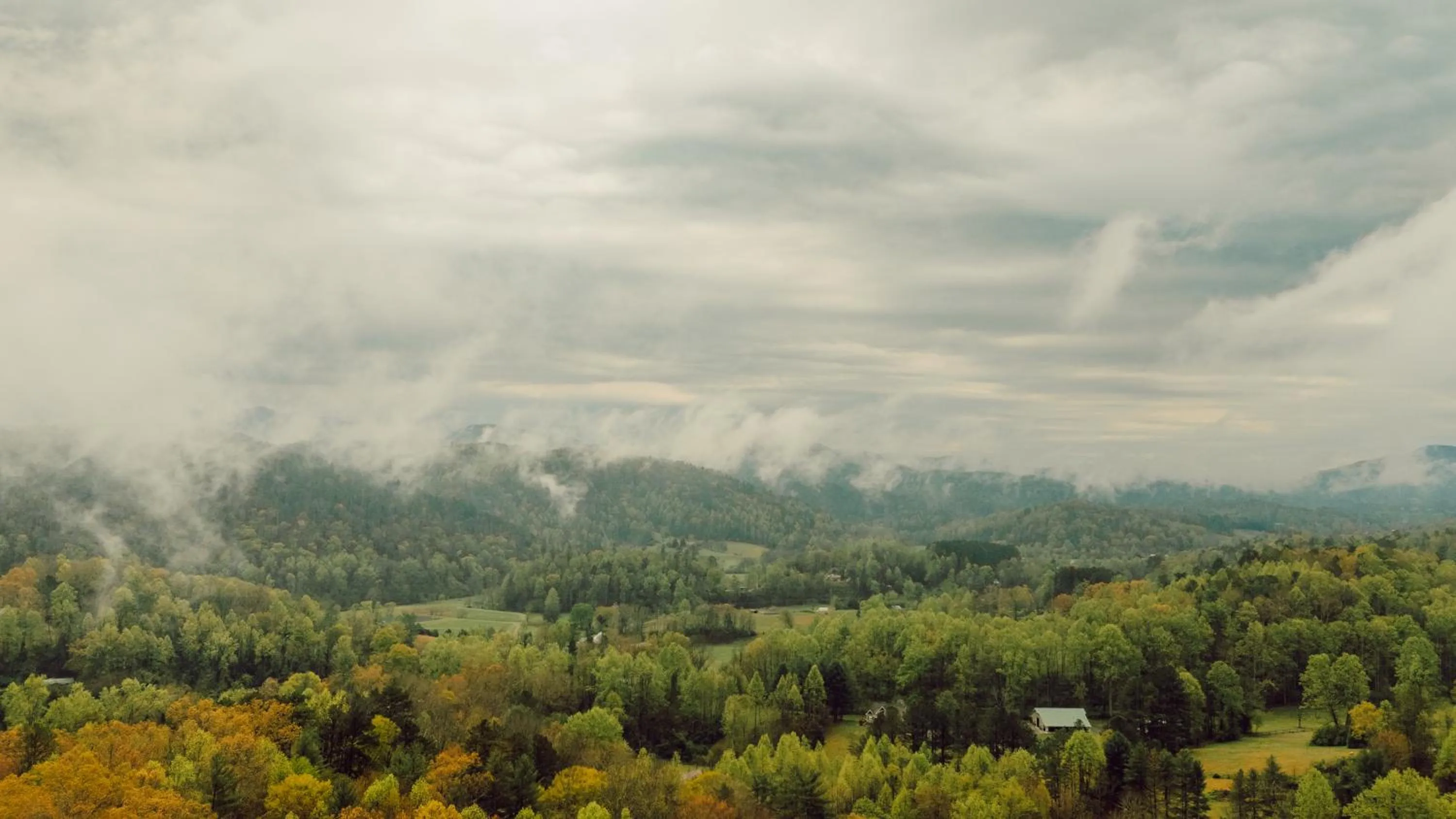 Other in Tremont Lodge & Resort