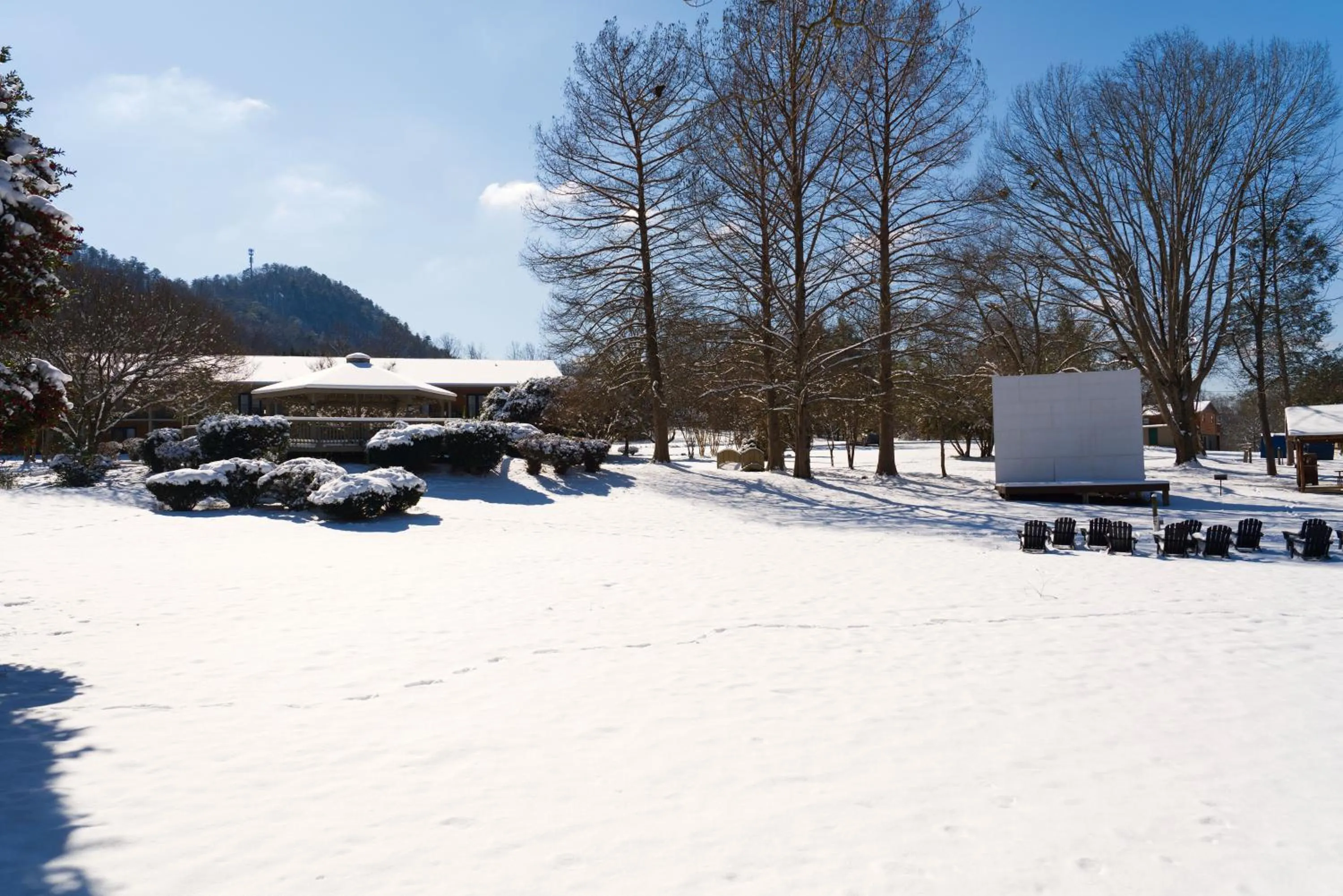 View (from property/room) in Tremont Lodge & Resort