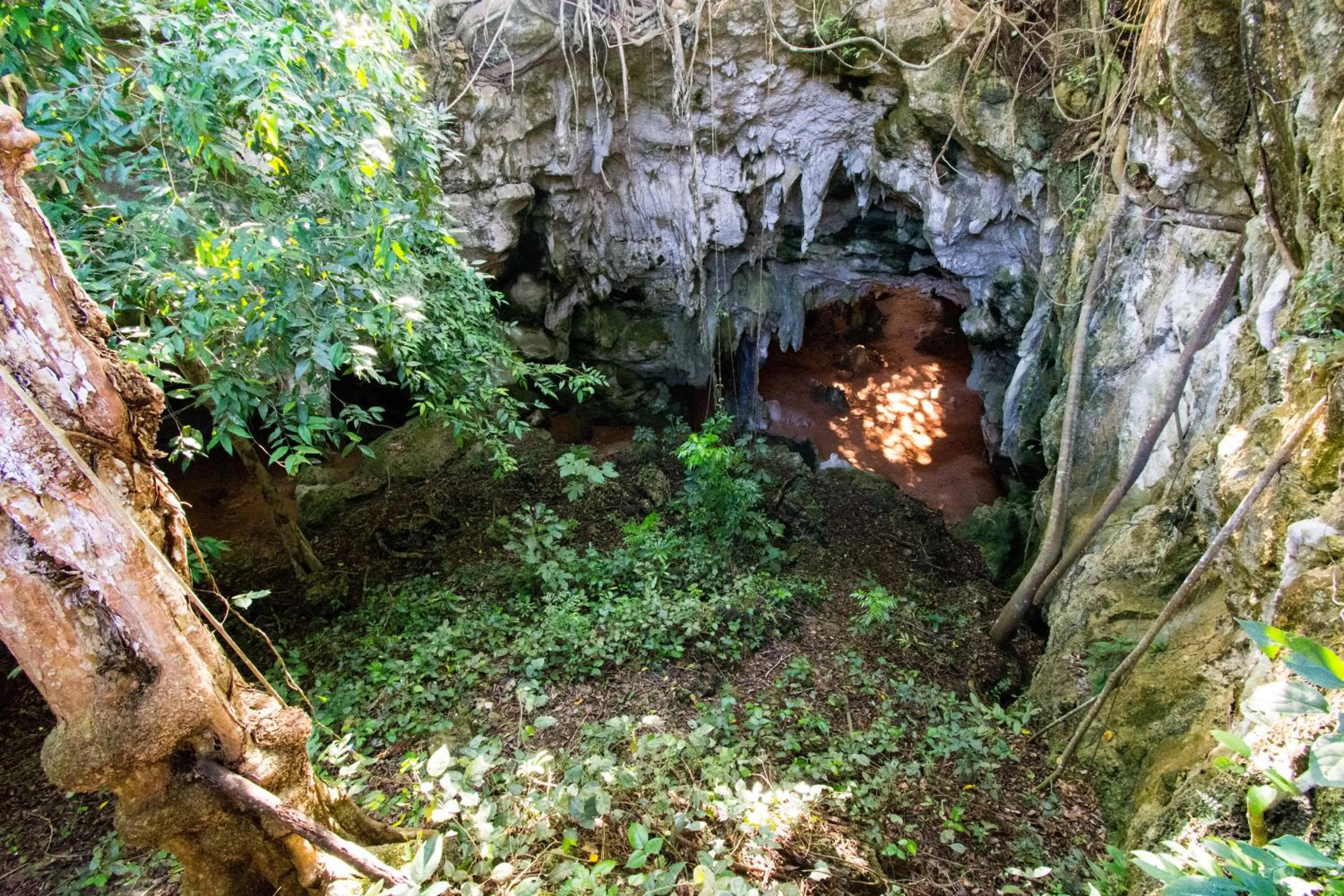 Activities in Bara Beach Bungalows