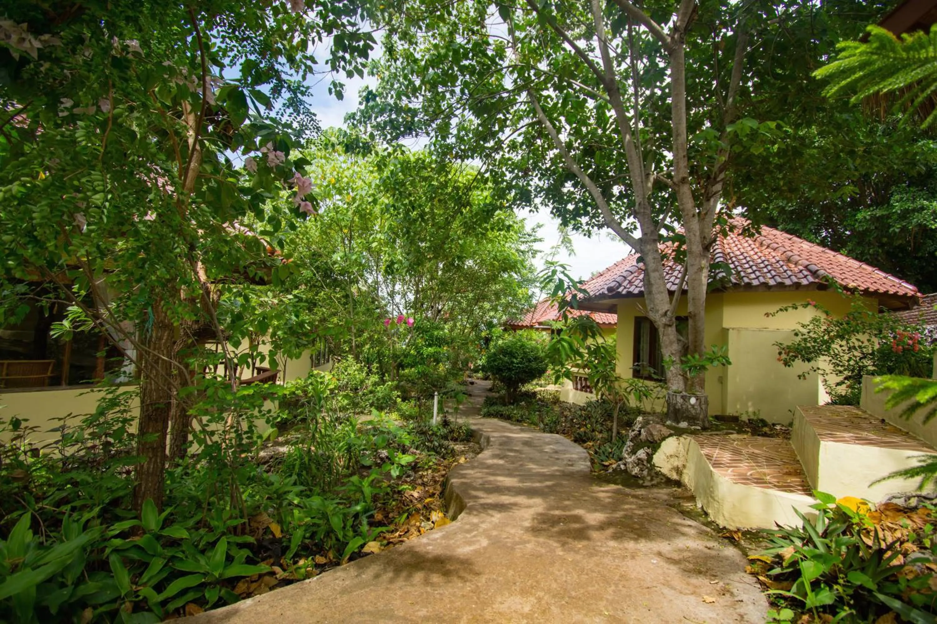 Garden in Bara Beach Bungalows