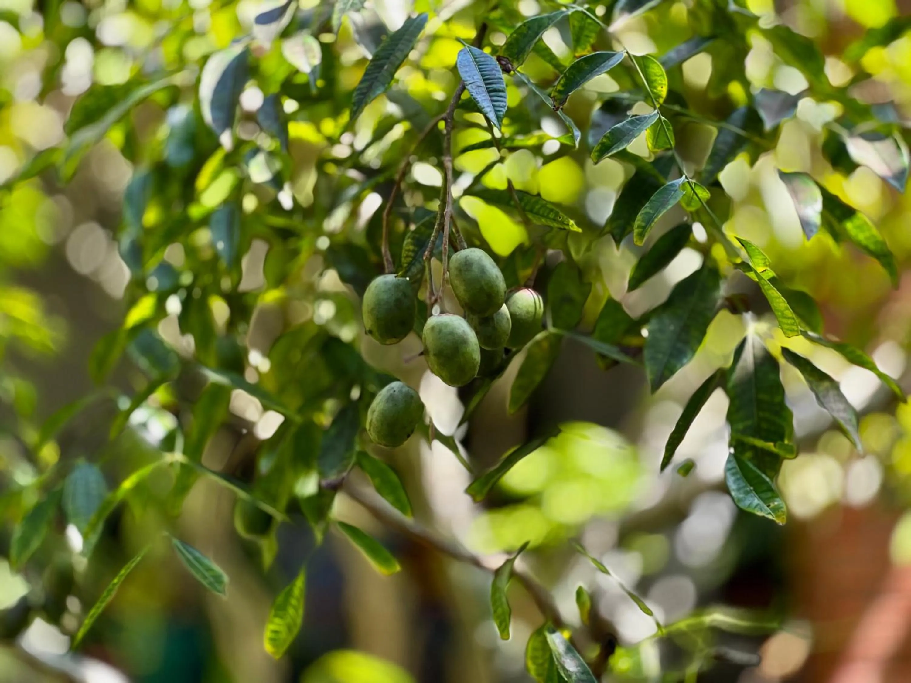 Natural landscape in Crystal Palace
