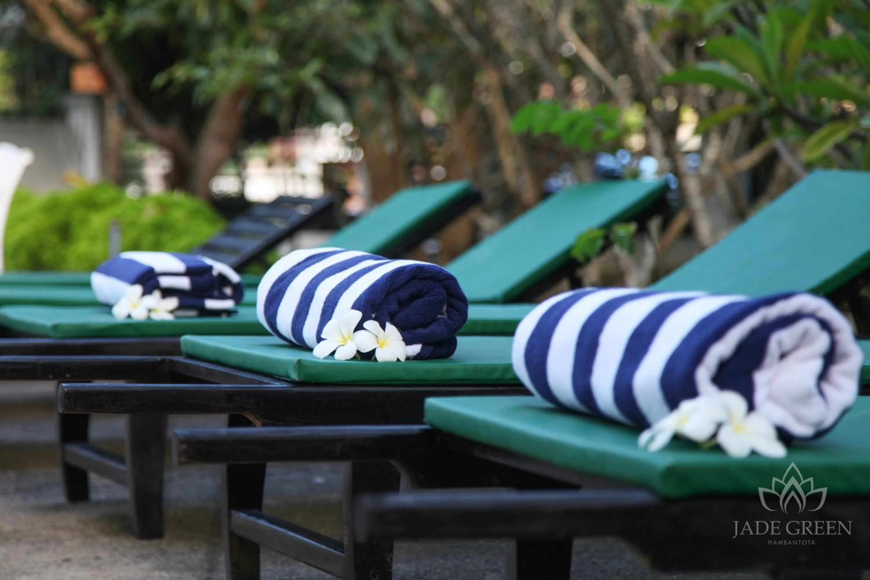 Pool view in Jade Green Hotel Hambantota