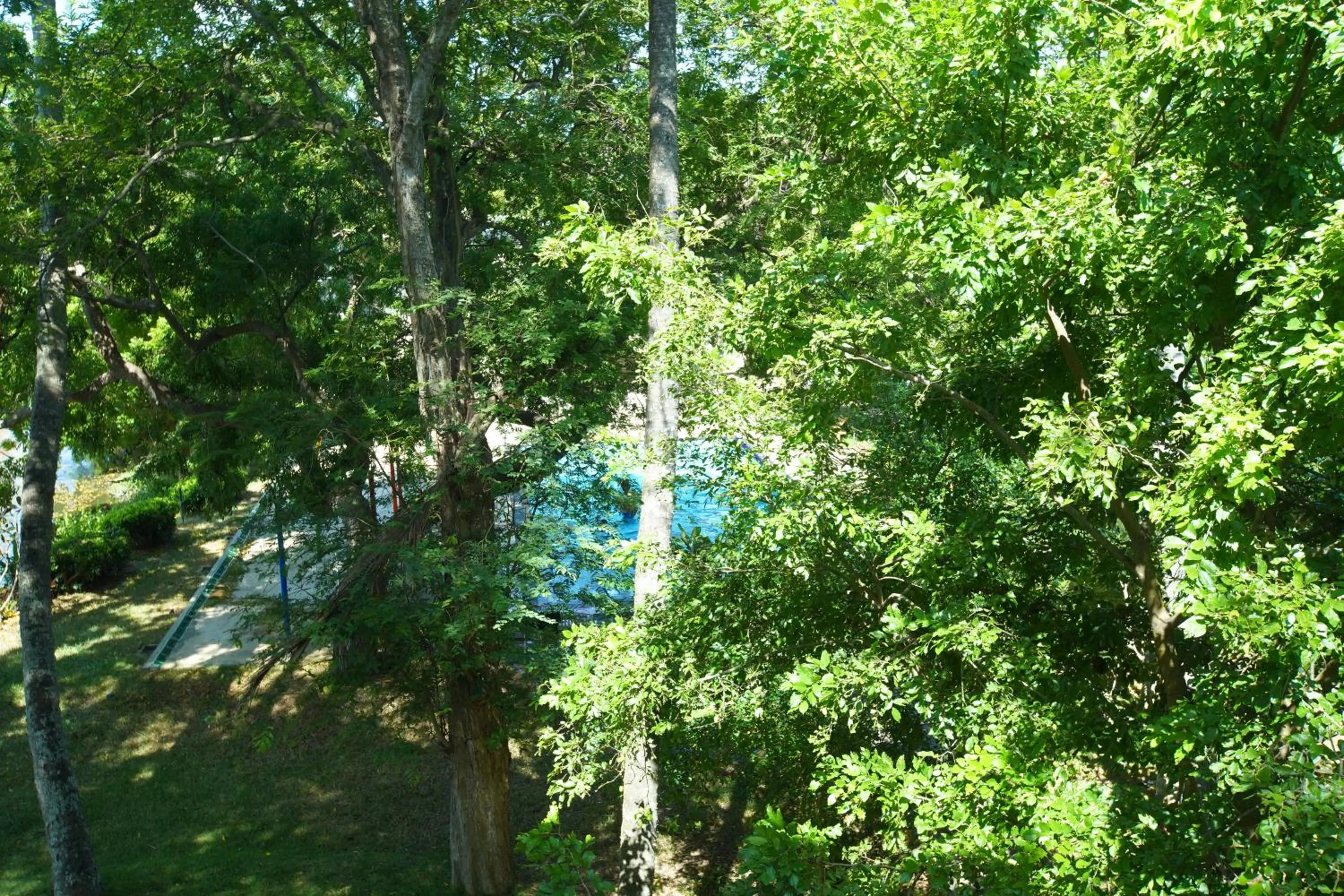 Garden view in Jade Green Hotel Hambantota