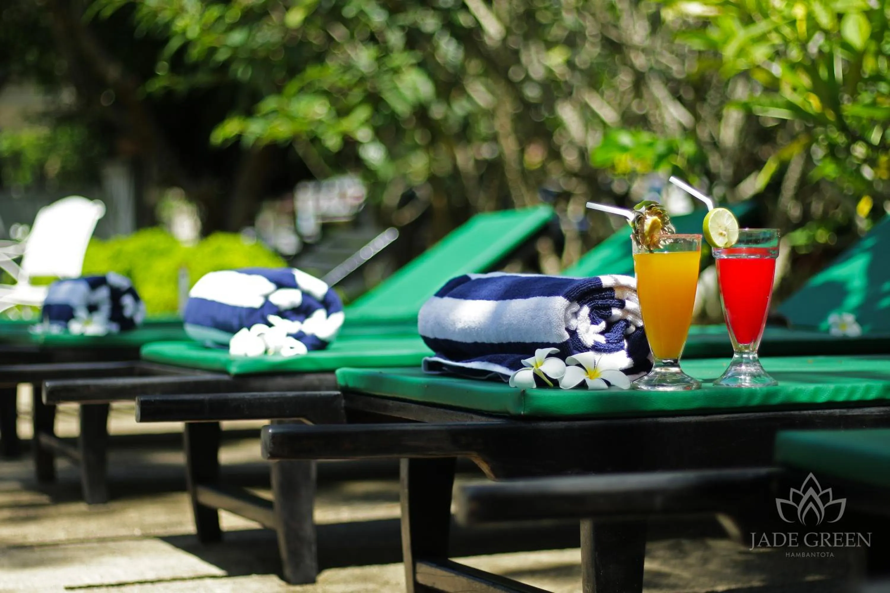 Pool view in Jade Green Hotel Hambantota