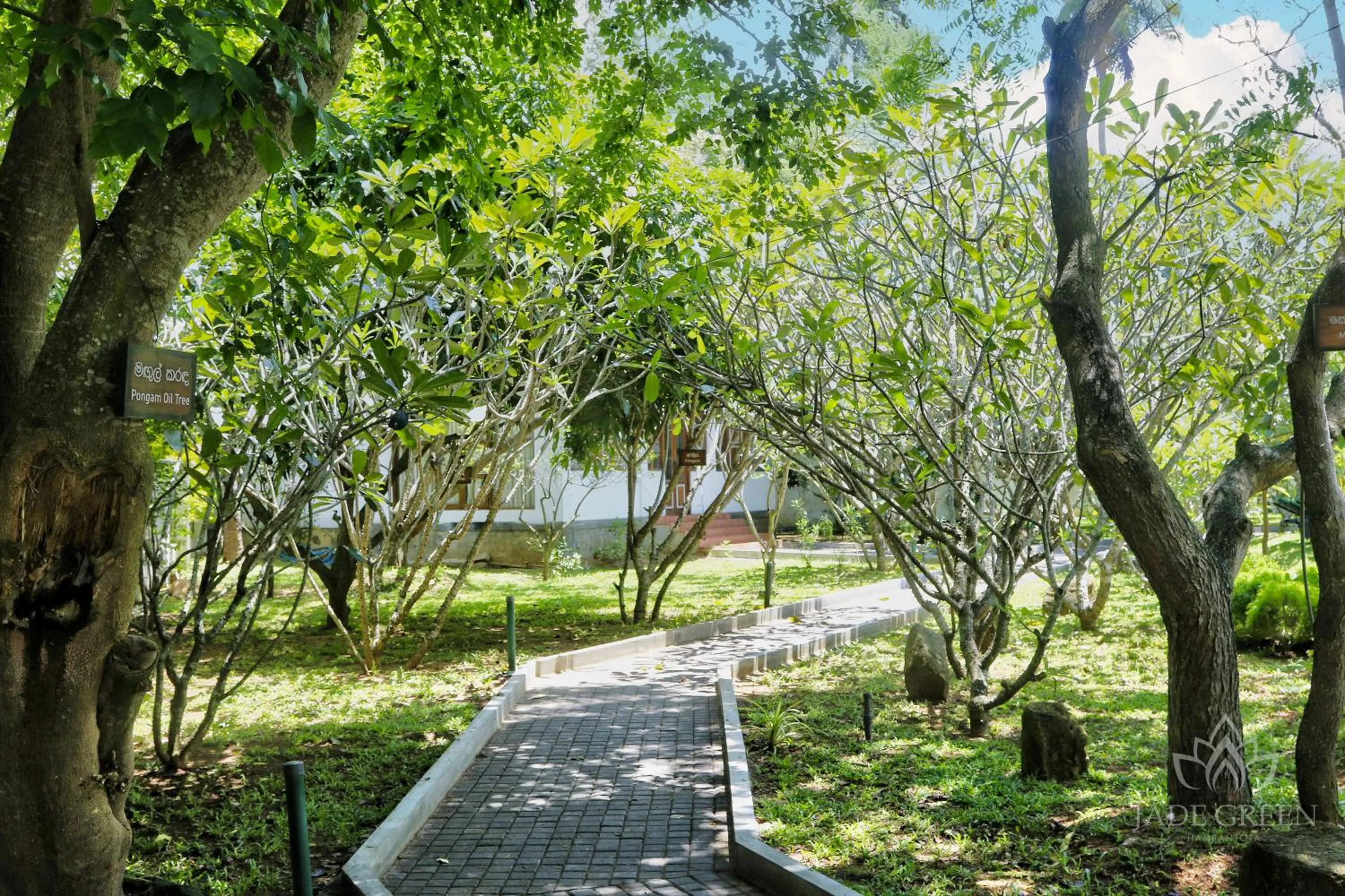 Garden in Jade Green Hotel Hambantota