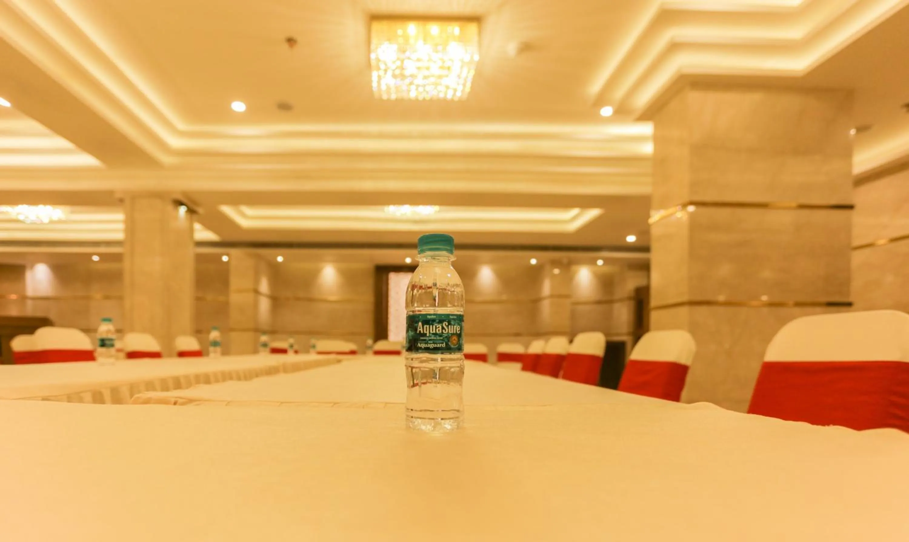 Business facilities in Hotel Metropolis