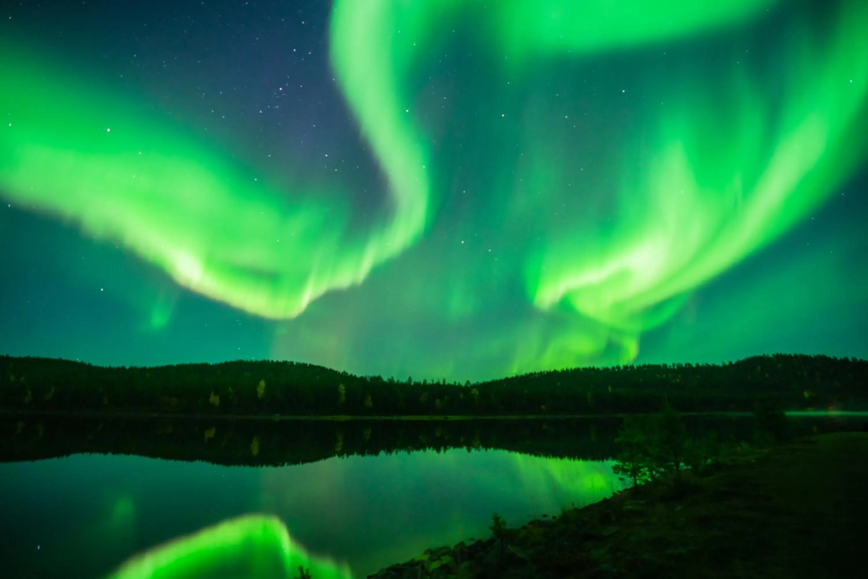 Natural landscape in Northern Lights Village Saariselkä