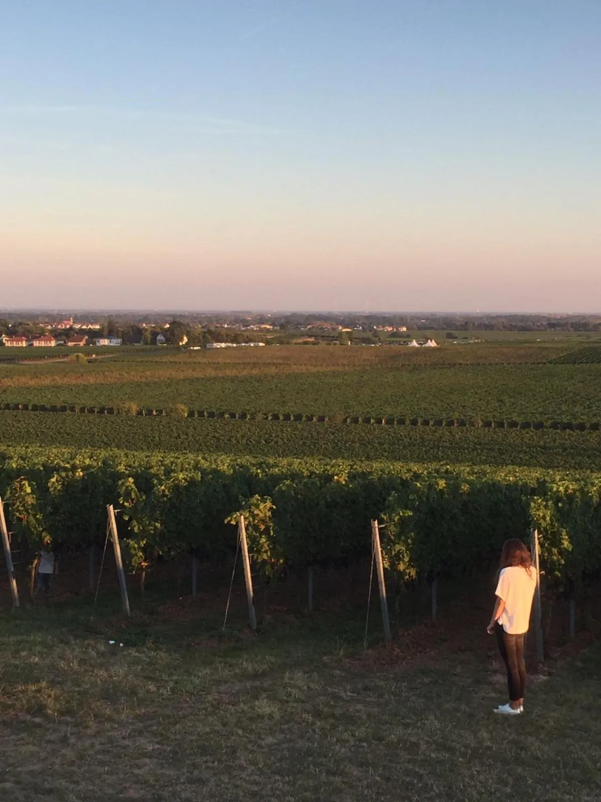 Natural landscape in Alter Winzerhof Weisenheim am Berg e.K.