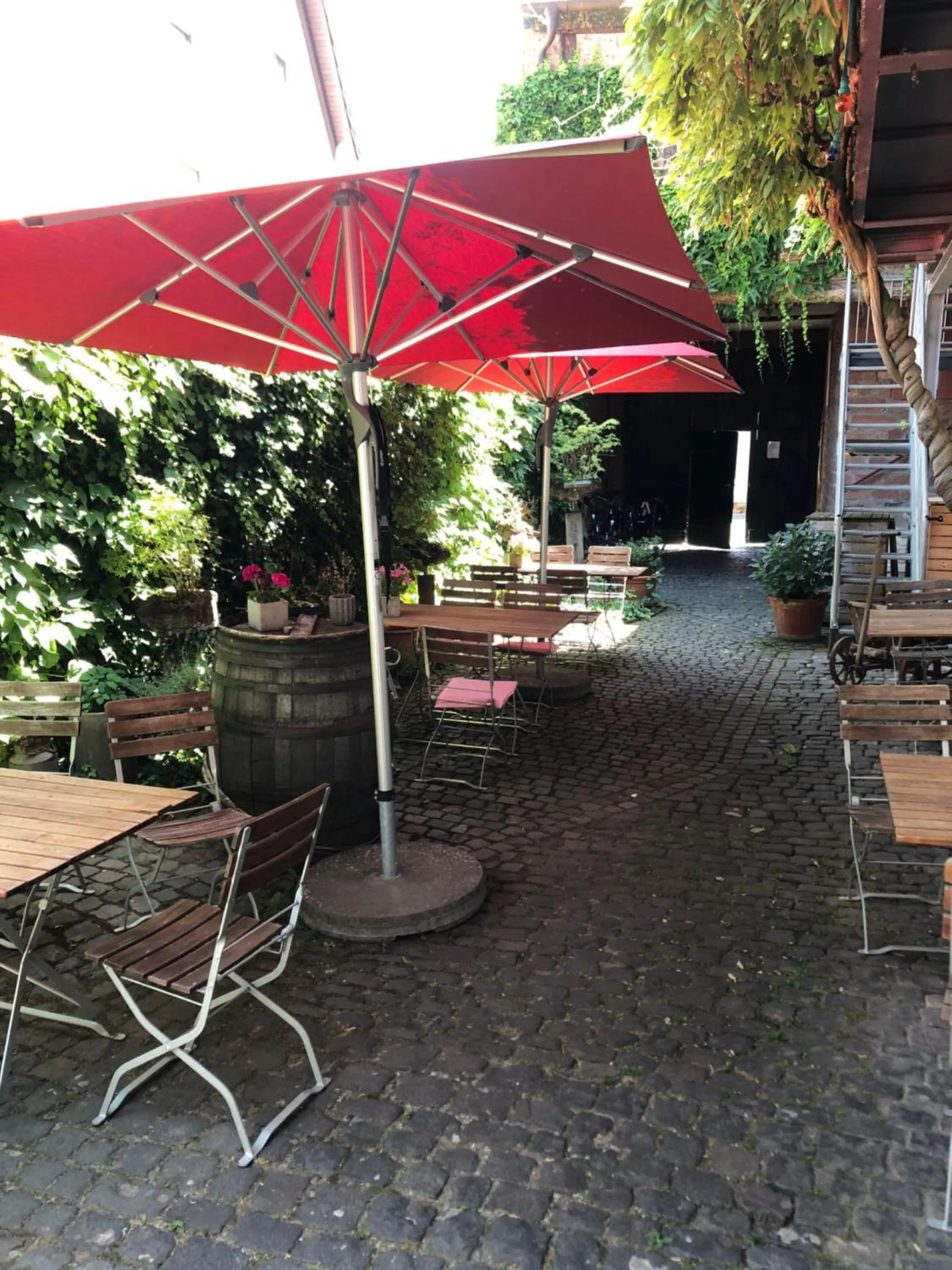 Alter Winzerhof Weisenheim am Berg e.K.