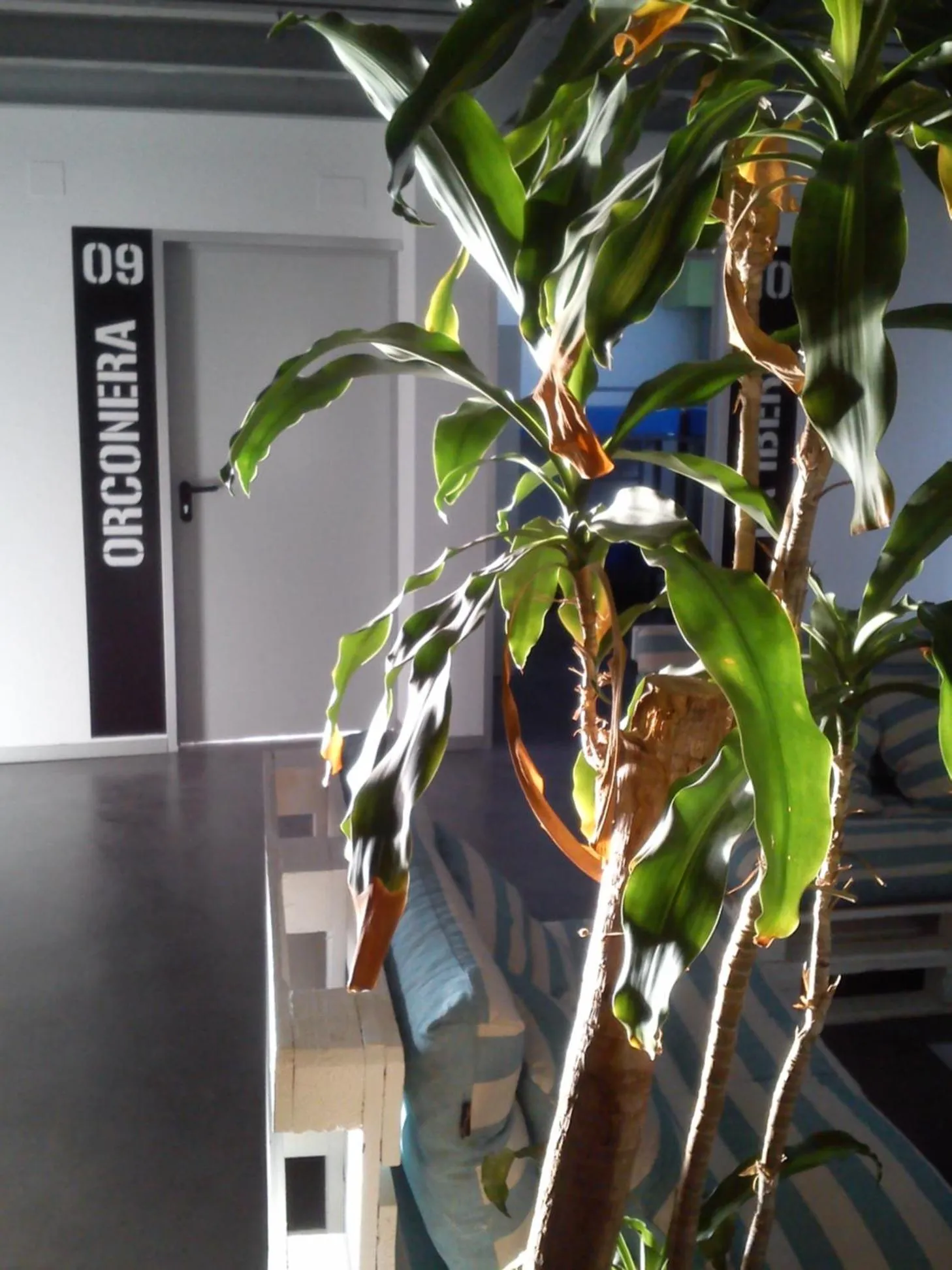 Communal lounge/ TV room in All Iron Hostel