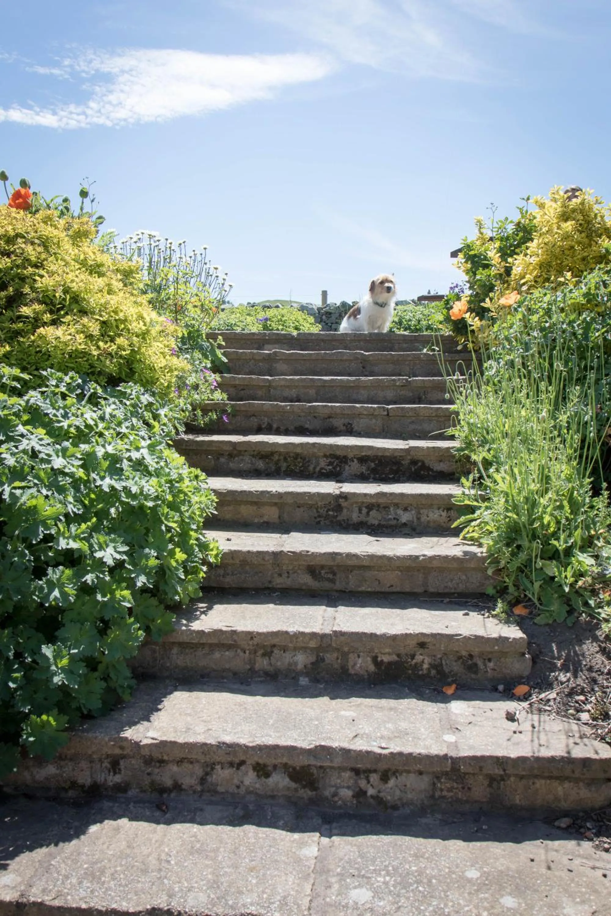 Garden in Templehall Hotel