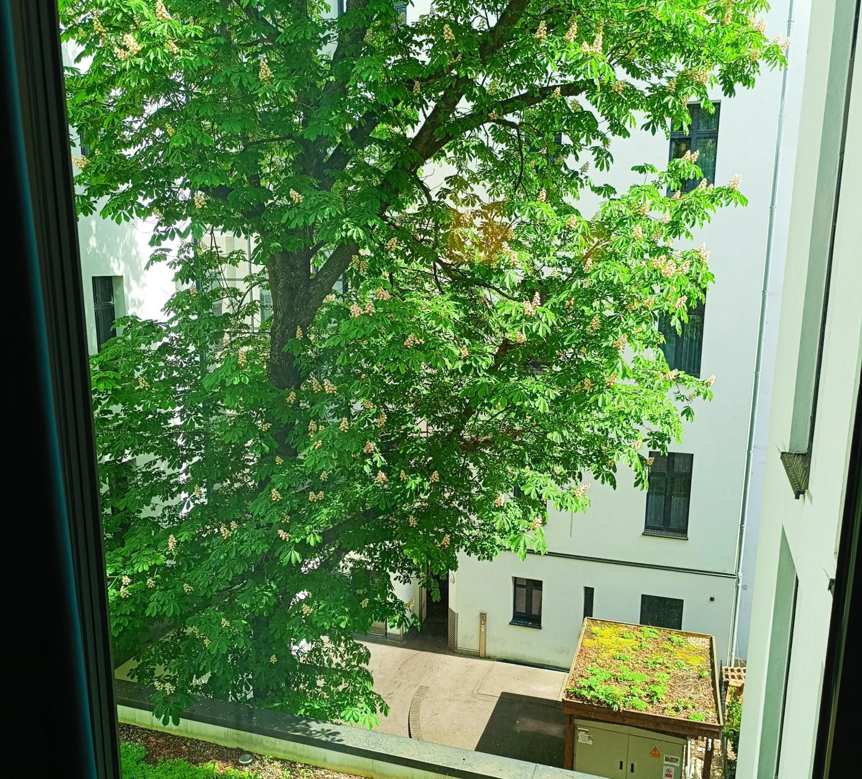 Patio in MERCURE Hotel Berlin Wittenbergplatz