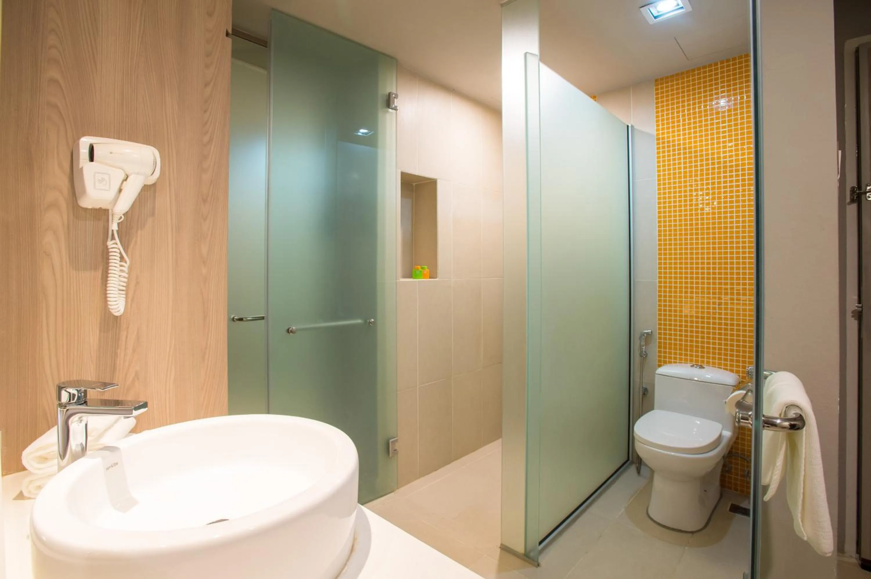 Shower in ibis Styles Kuala Lumpur Sri Damansara