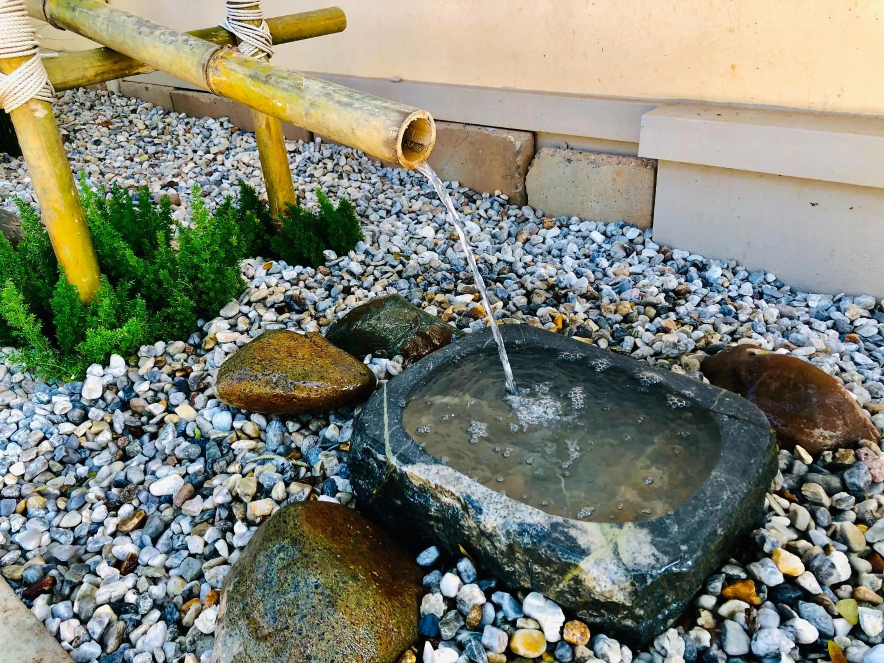 Chiangkhong Teak Garden Riverfront Onsen Hotel- SHA Extra Plus