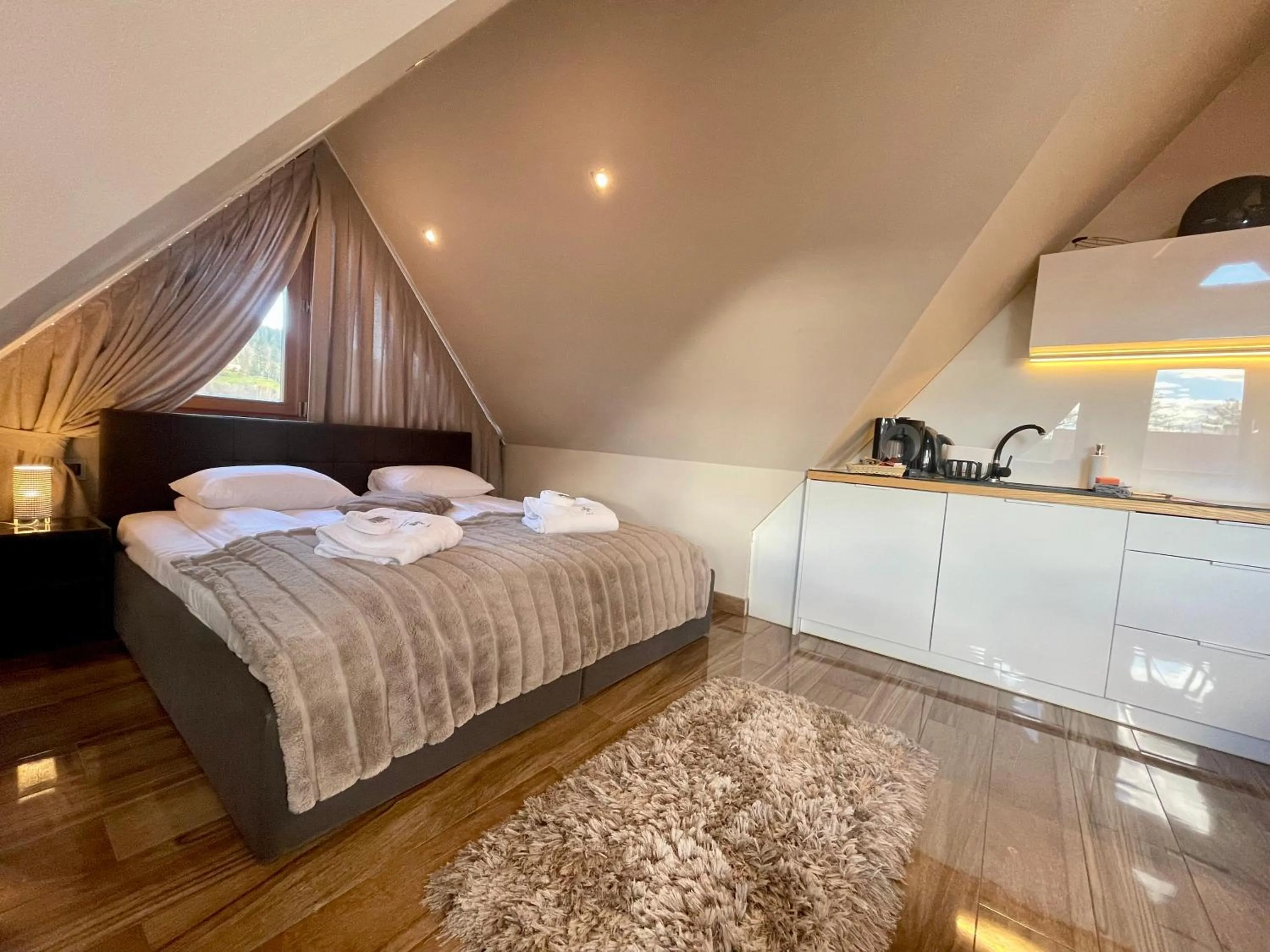 Deluxe Studio in Apart-Center Zakopiańskie Tarasy SPA