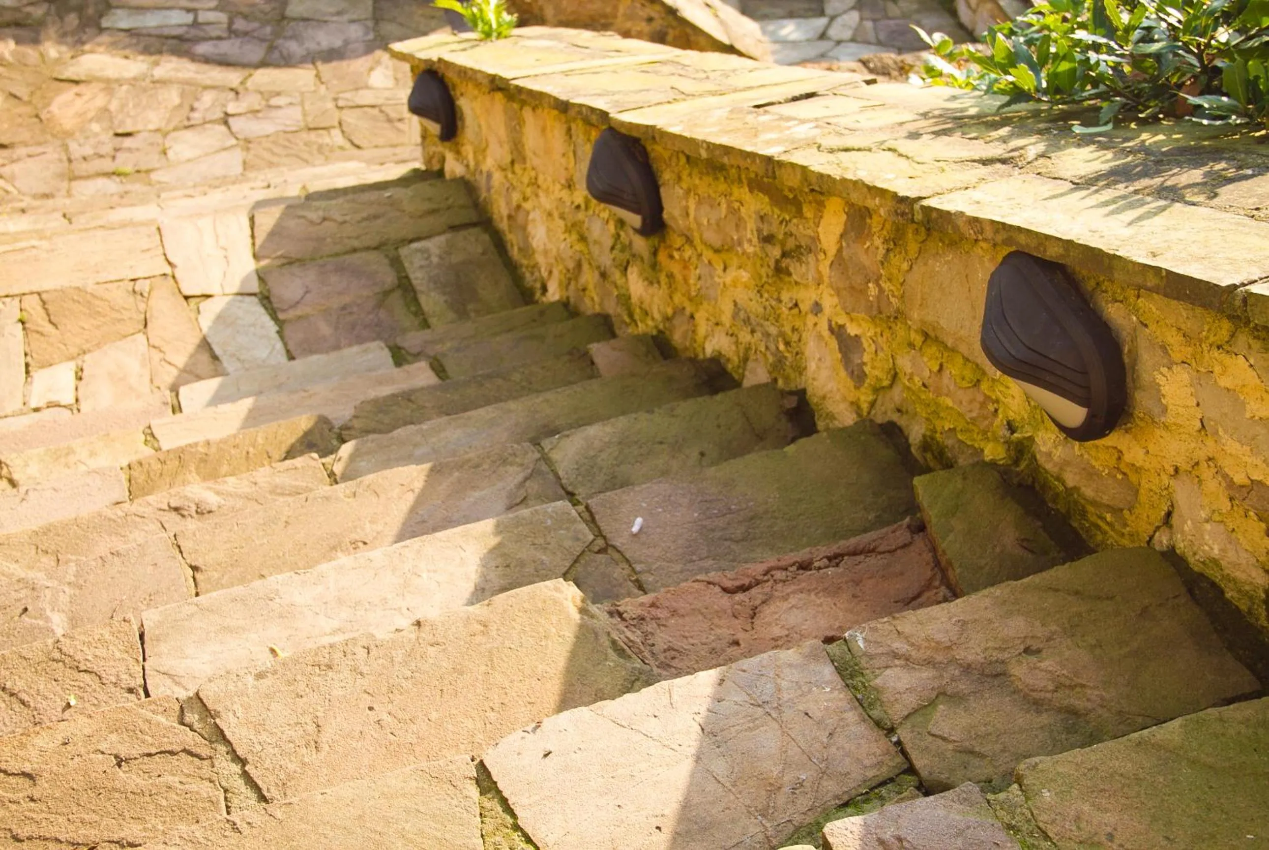 Patio in La Casa del Organista