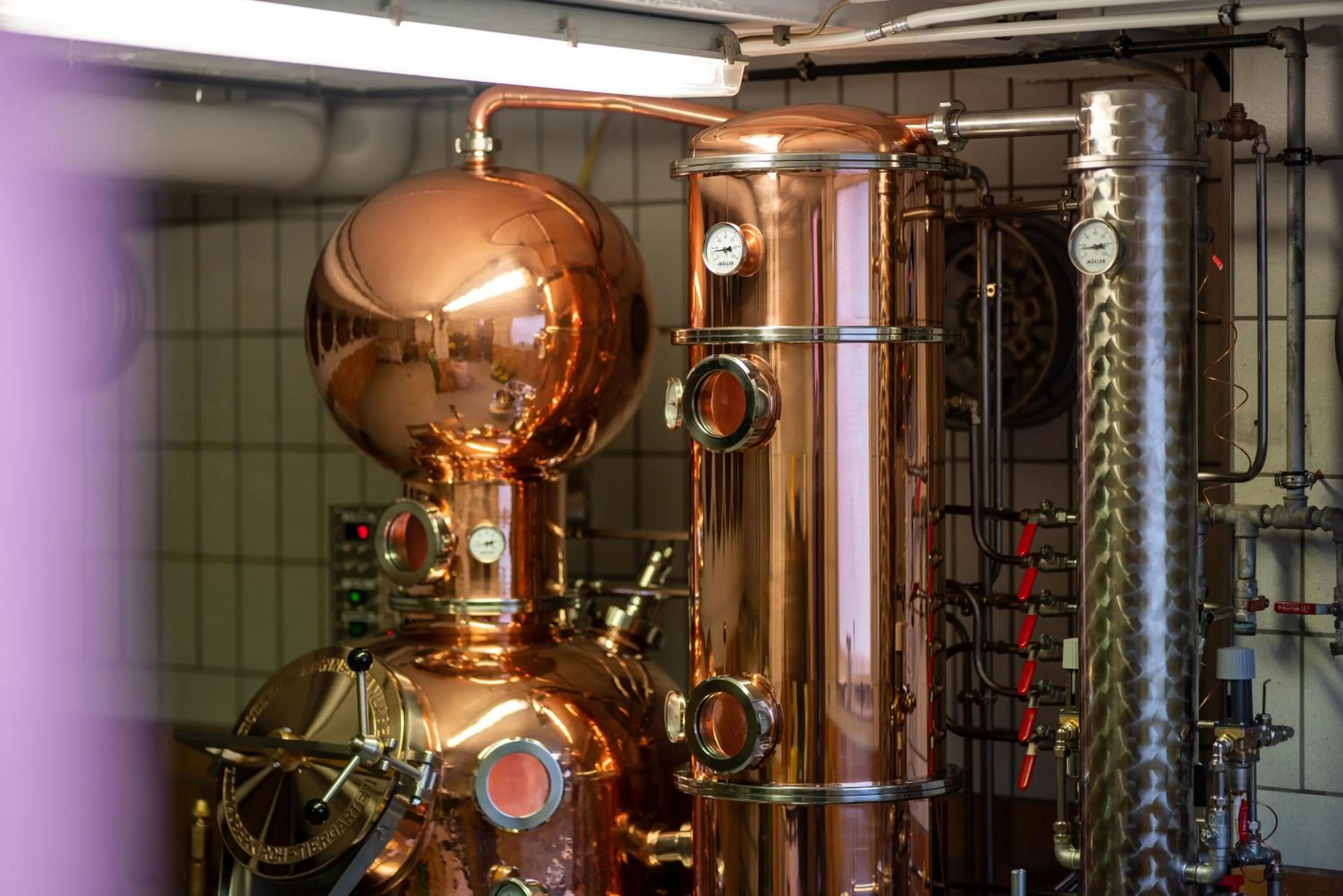 Other in Gasthaus-Pension Zum Kreuz