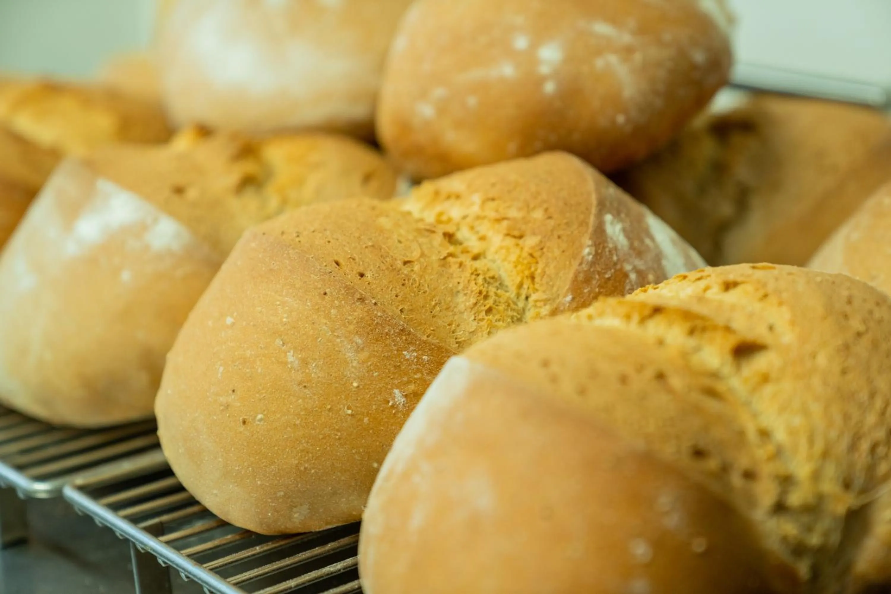 Food in Gasthaus-Pension Zum Kreuz