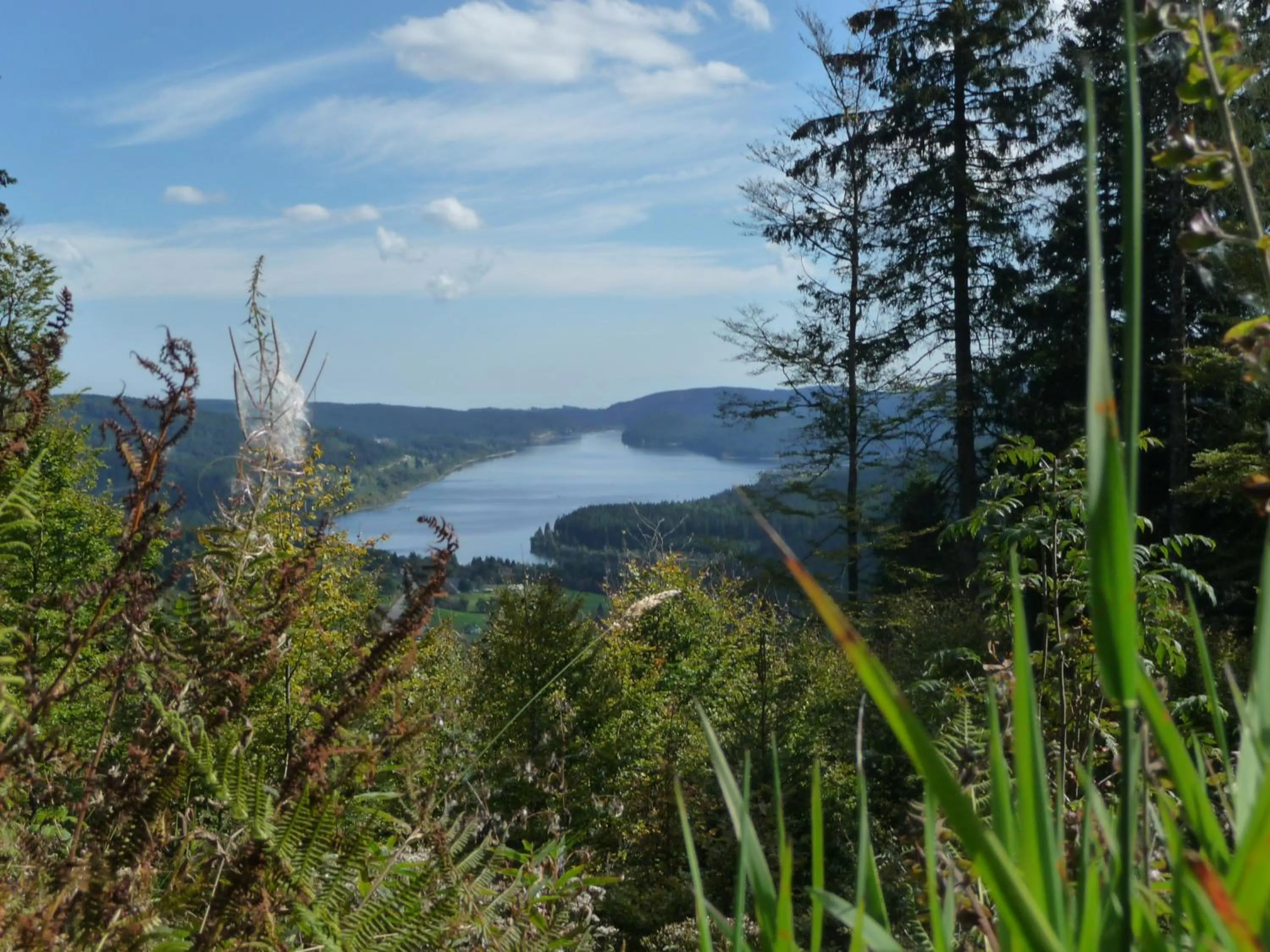 Natural landscape in Gasthaus-Pension Zum Kreuz