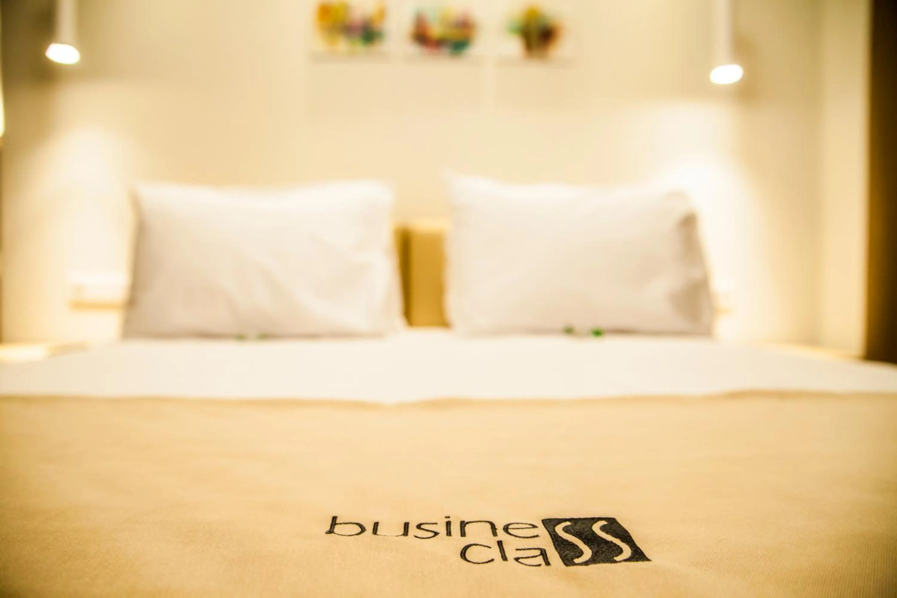 Decorative detail, Bed in Cluj Business Class