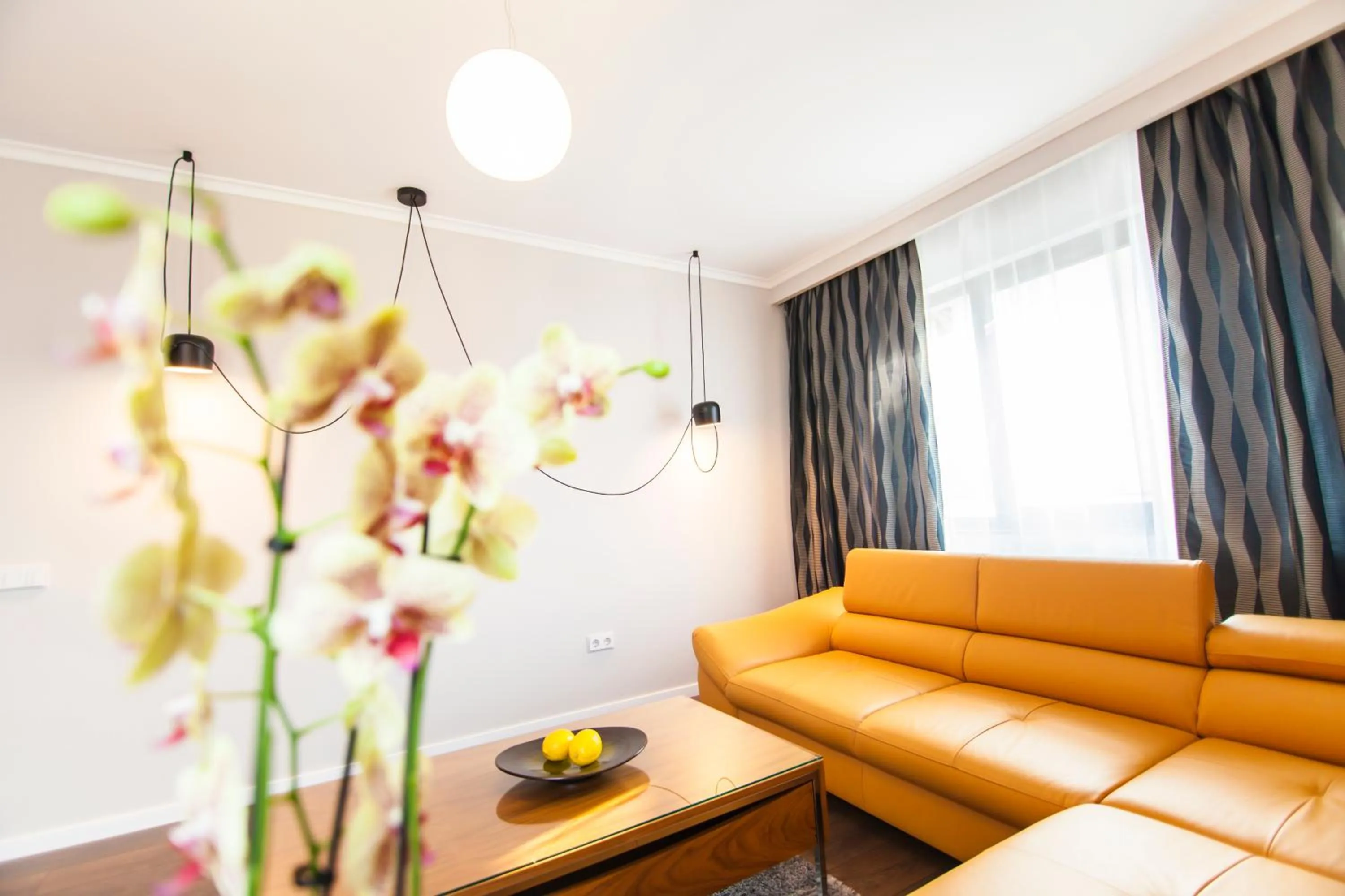 Living room in Cluj Business Class