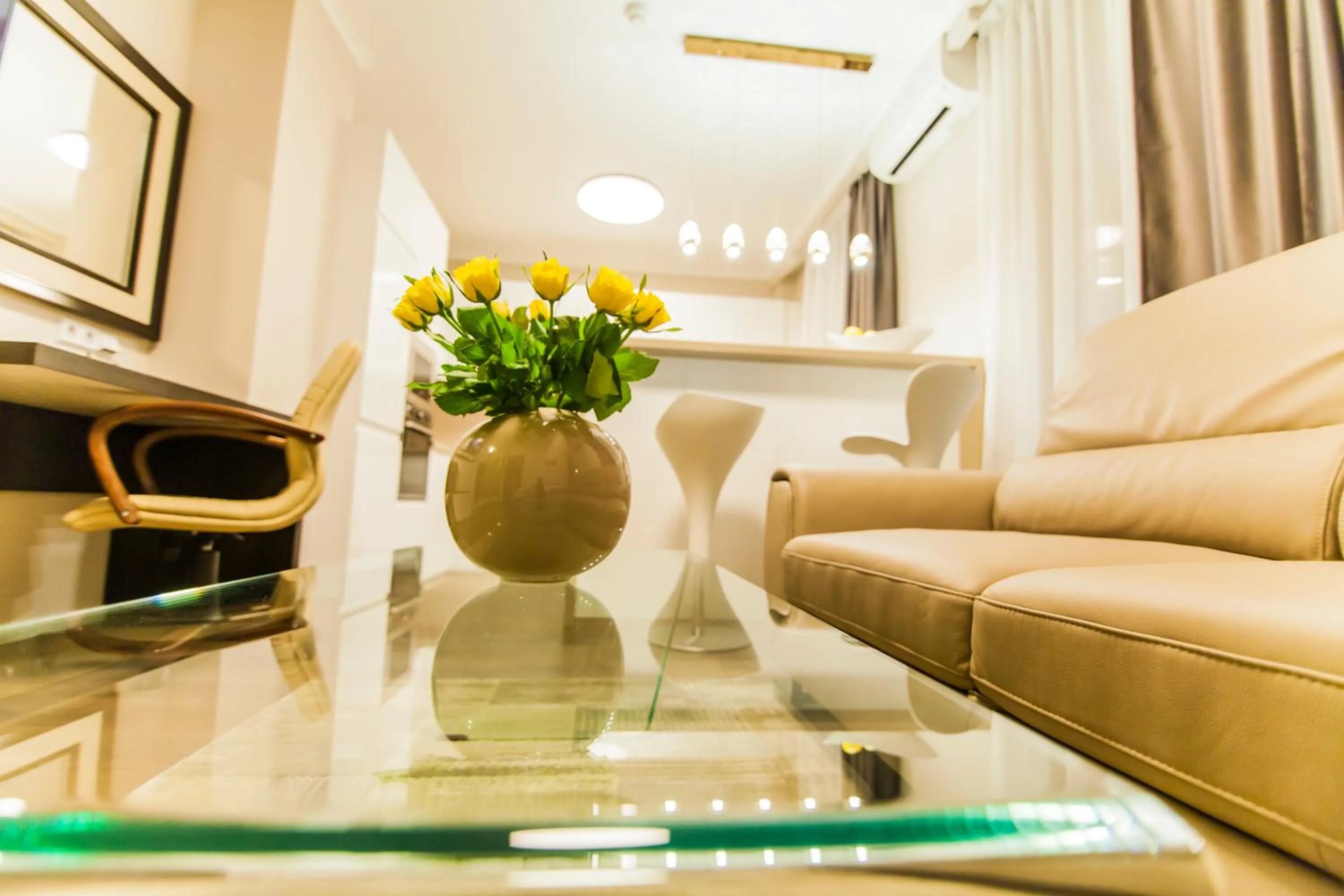 Living room in Cluj Business Class