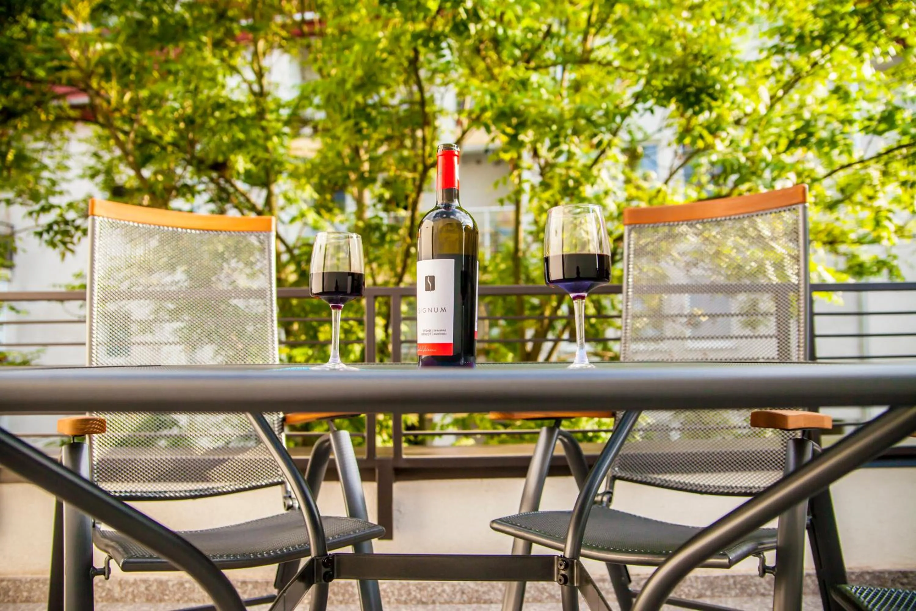 Balcony/Terrace in Cluj Business Class