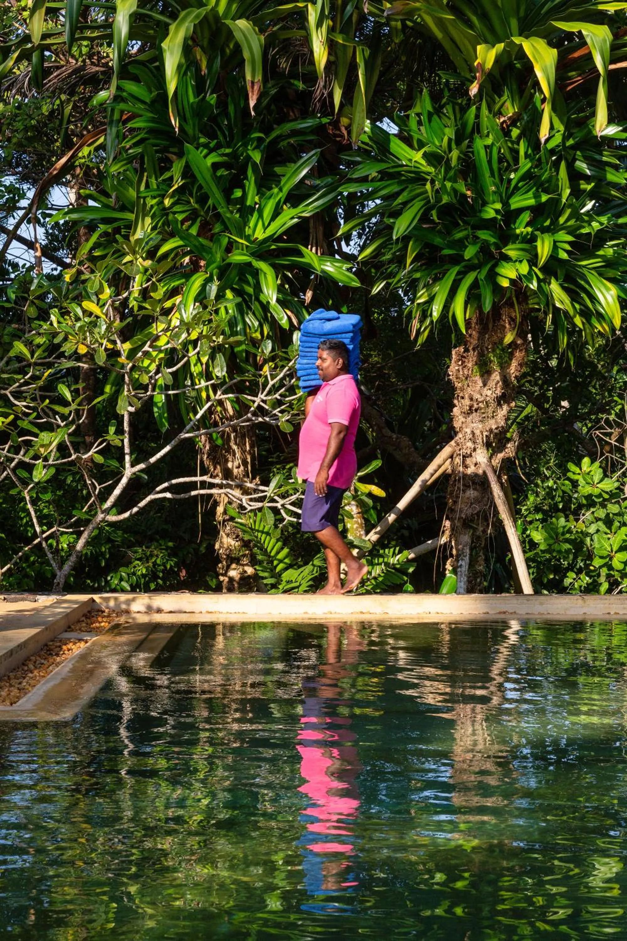 Swimming pool in Why House