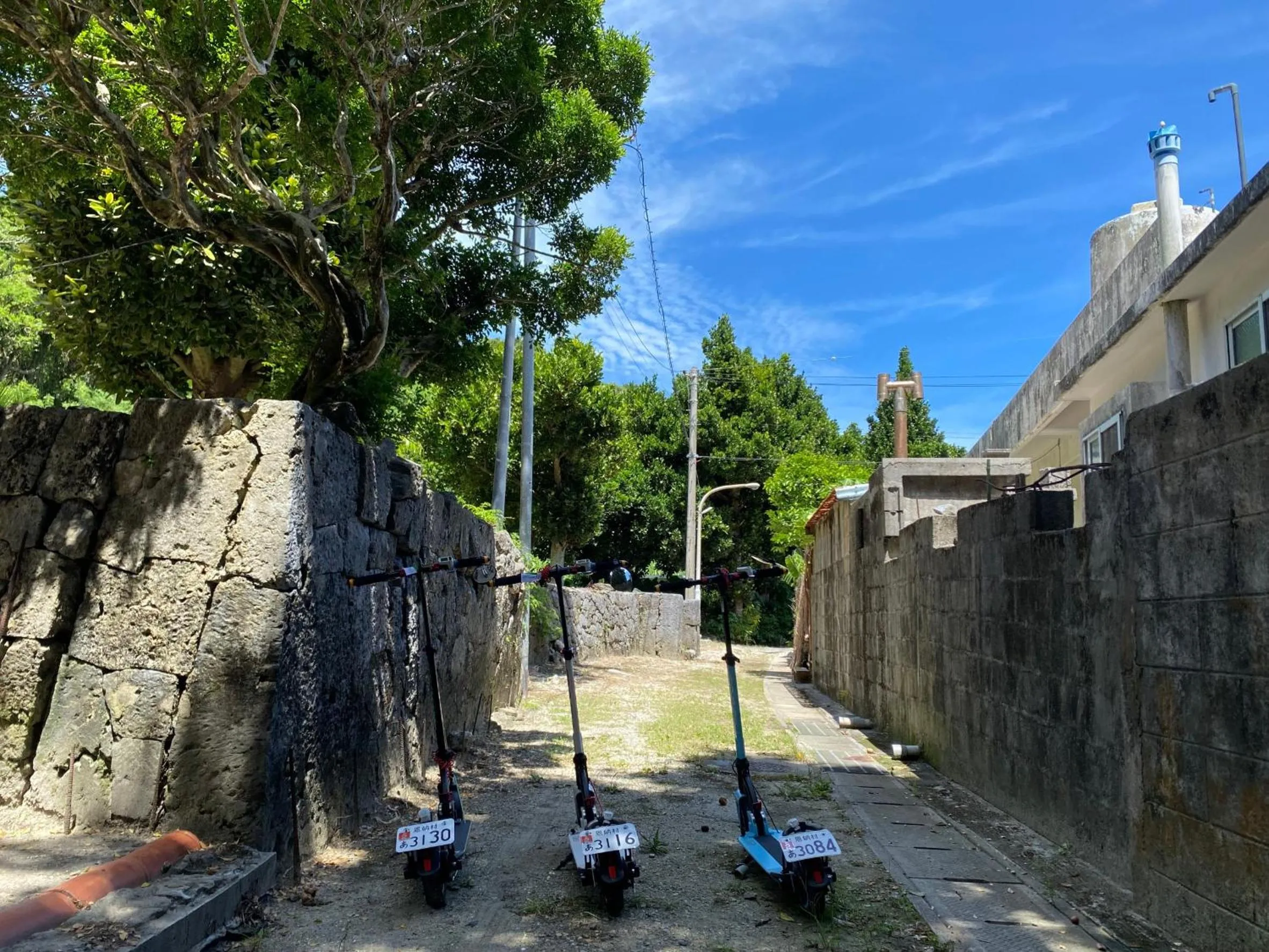 Activities in The Kitchen Hostel Ao