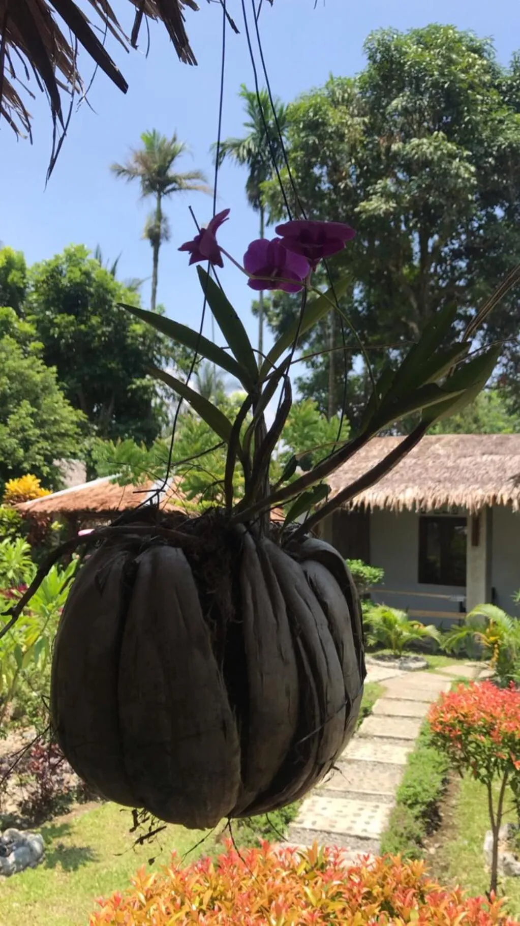 Villa Paradise - Bukit Lawang