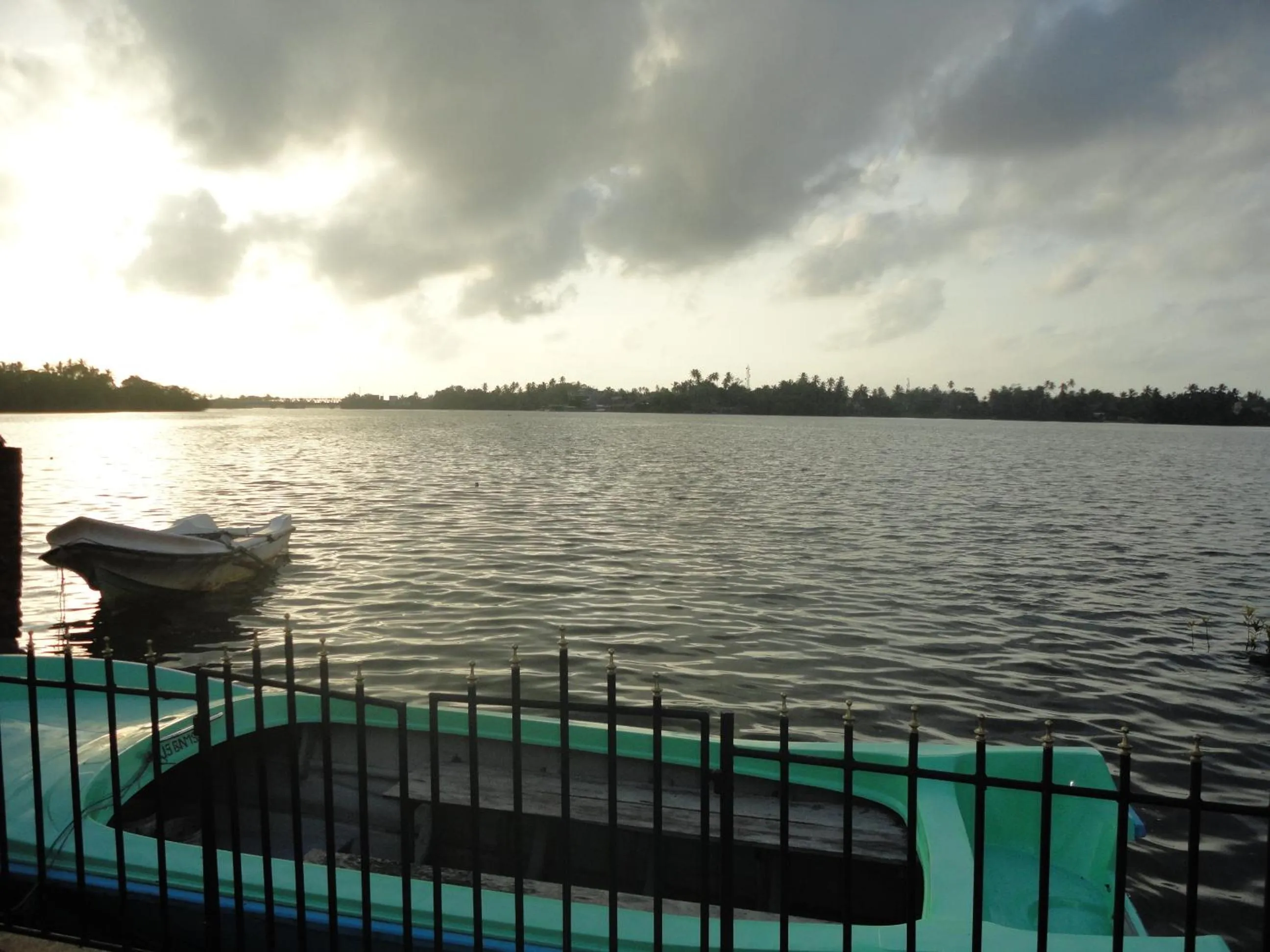 River view in Sapara River Guest