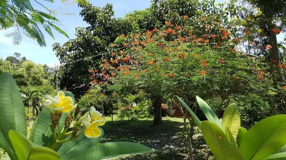 Natural landscape in Happy Resort