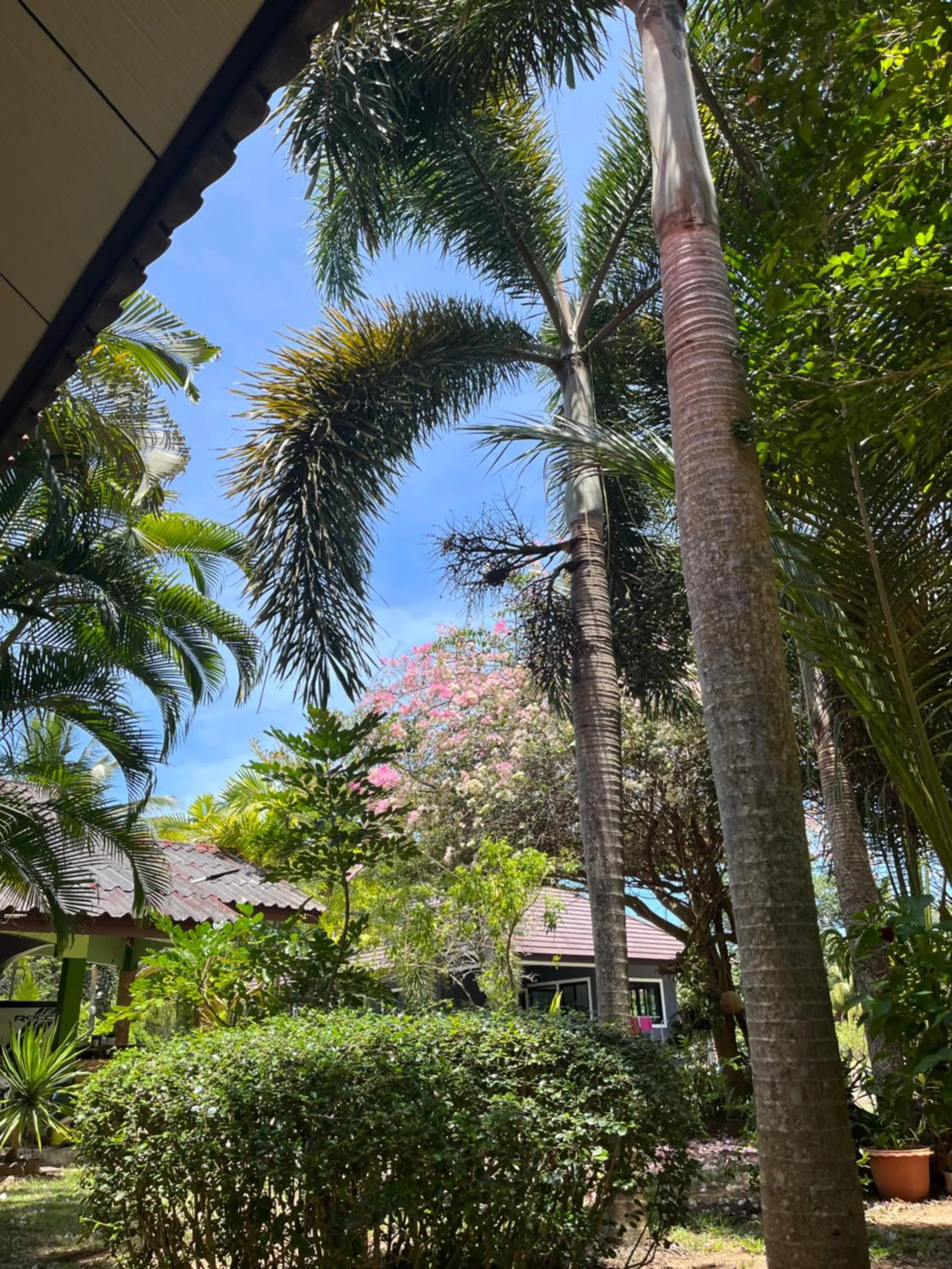 Happy Resort