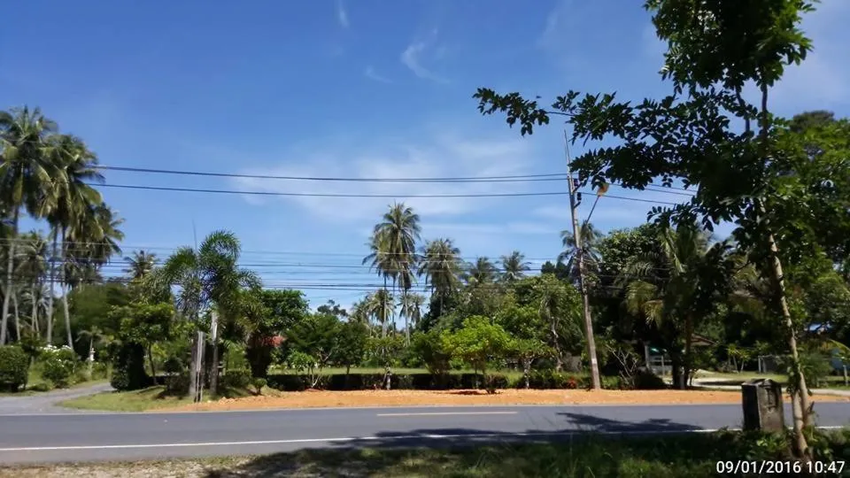 Street view in Happy Resort
