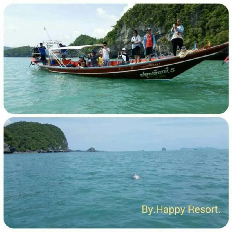 Nearby landmark in Happy Resort