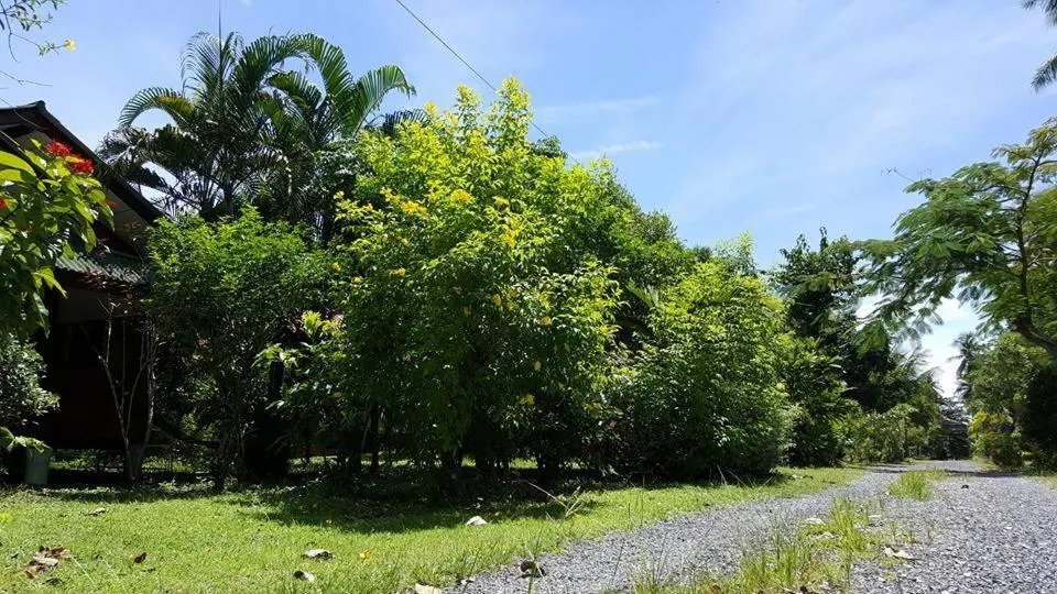 Natural landscape in Happy Resort