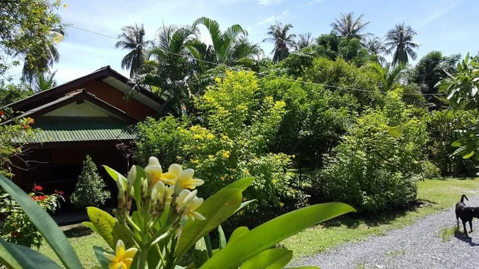 View (from property/room) in Happy Resort