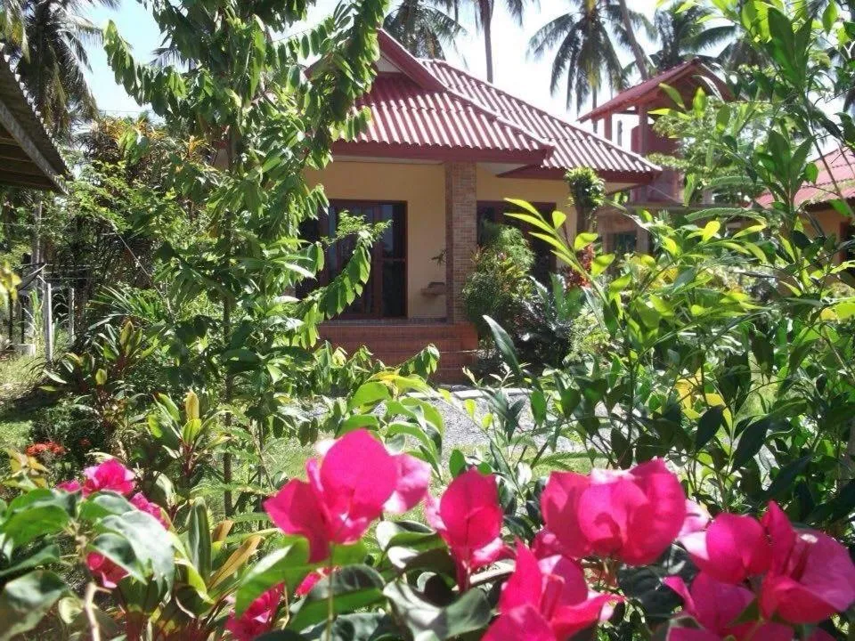 On site in Happy Resort