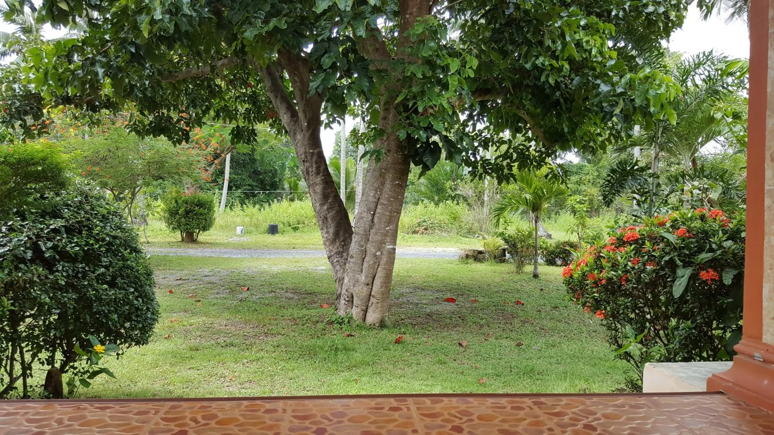 On site in Happy Resort