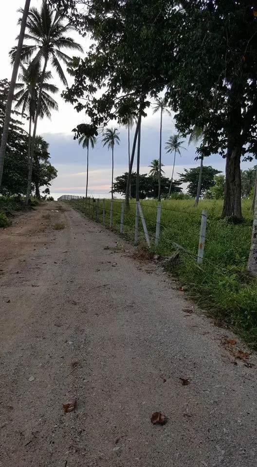Neighbourhood in Happy Resort