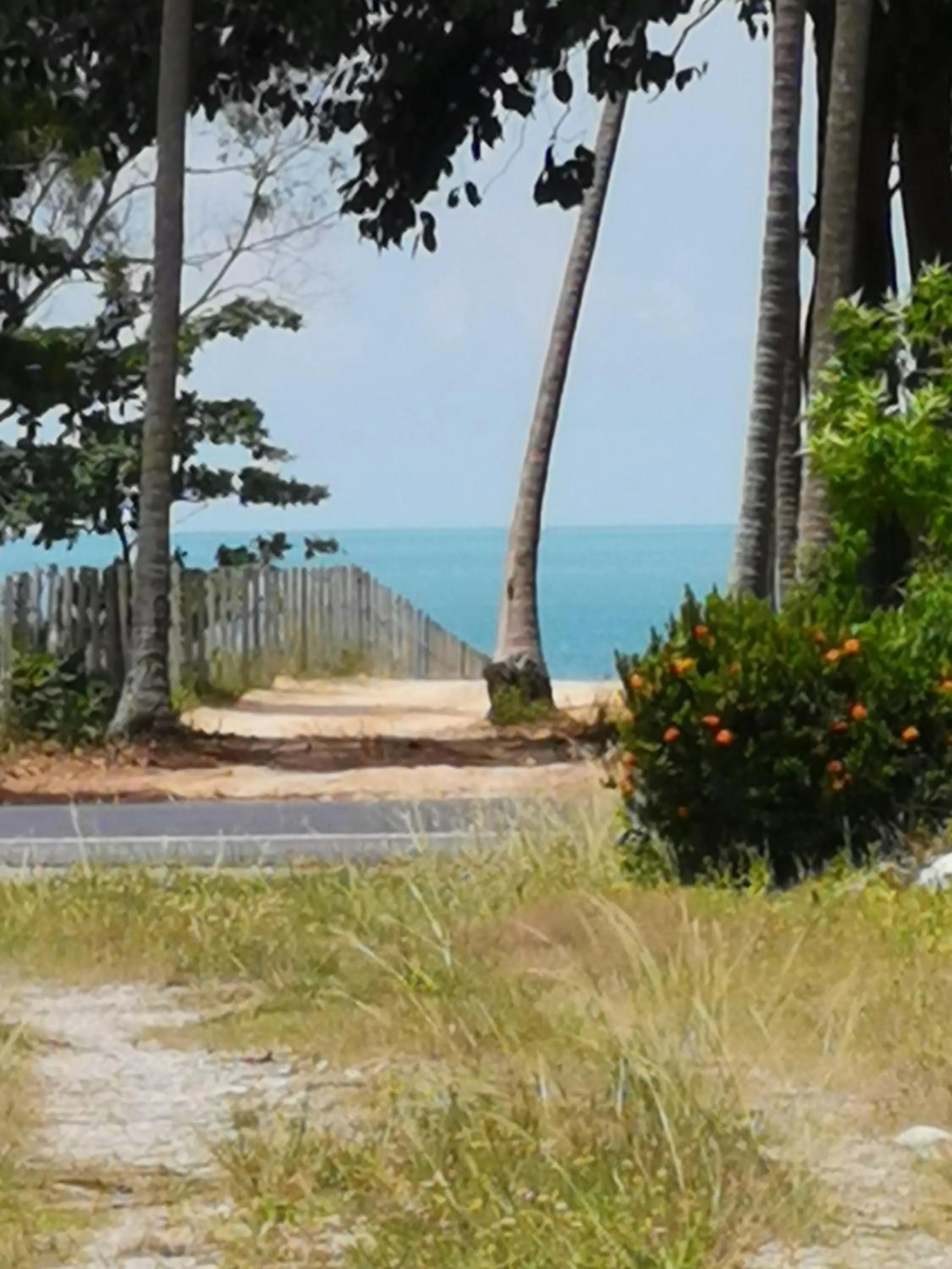 Happy Resort